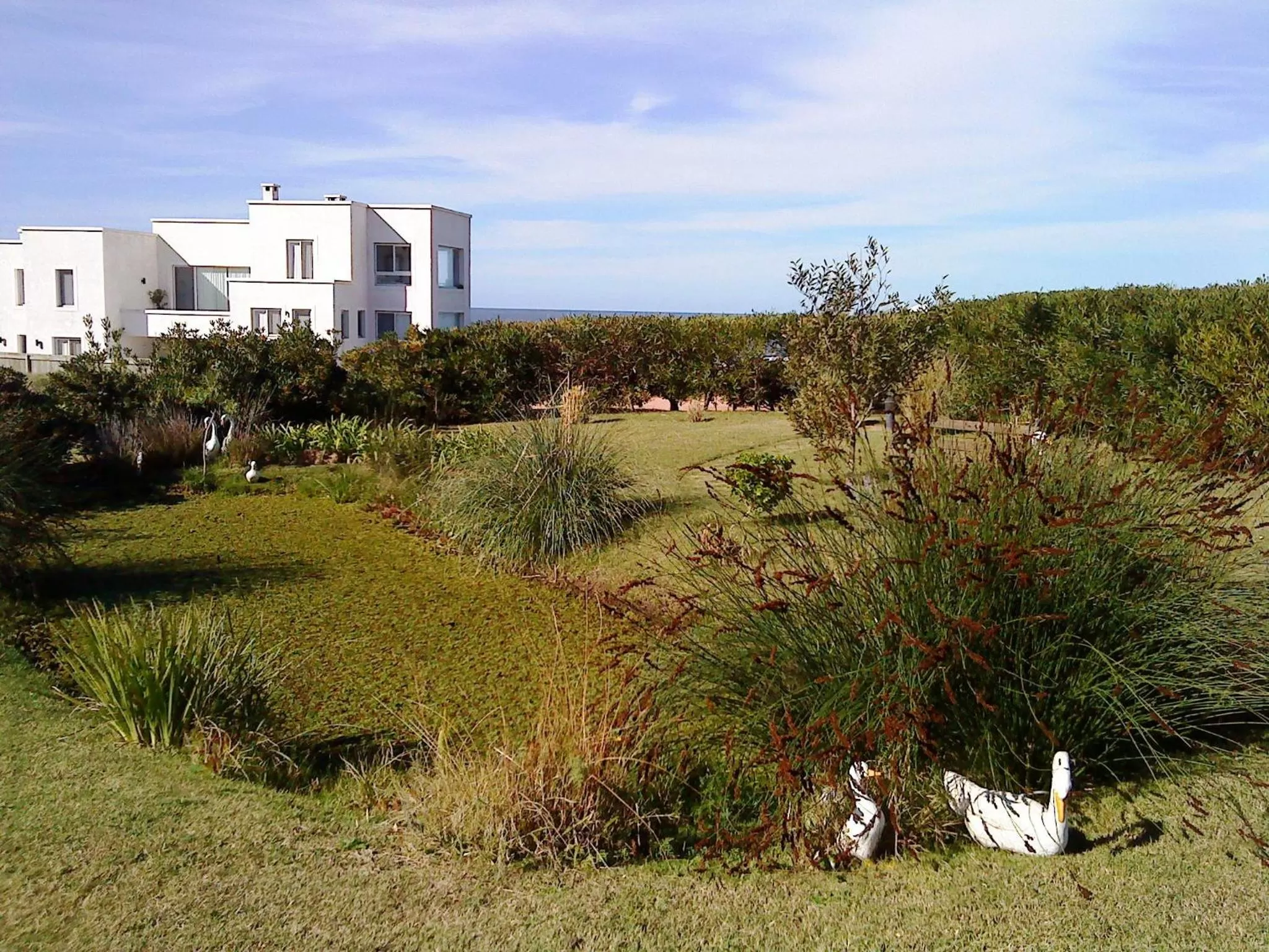 Garden in Posada de los Pajaros