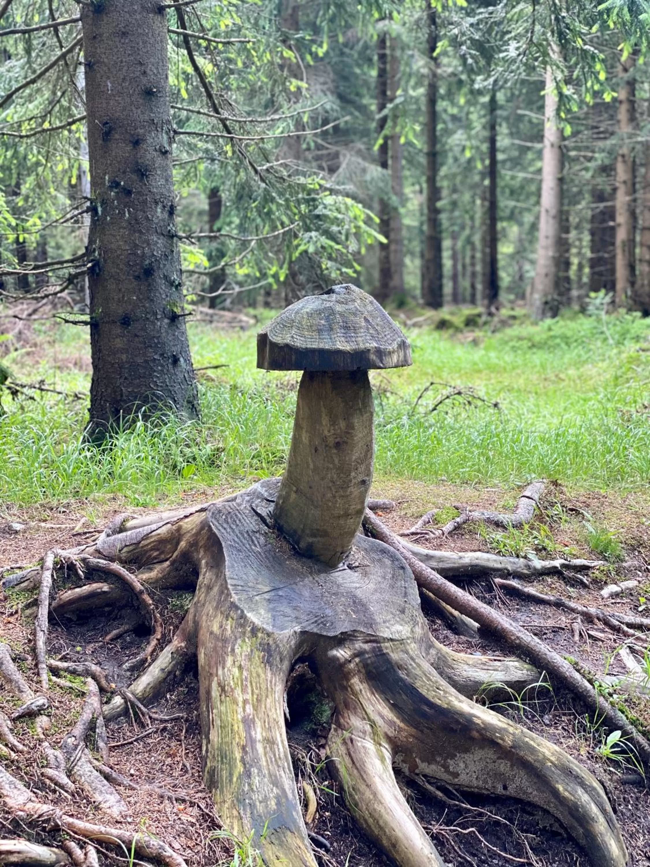 Nearby landmark in Vila Jáchymov