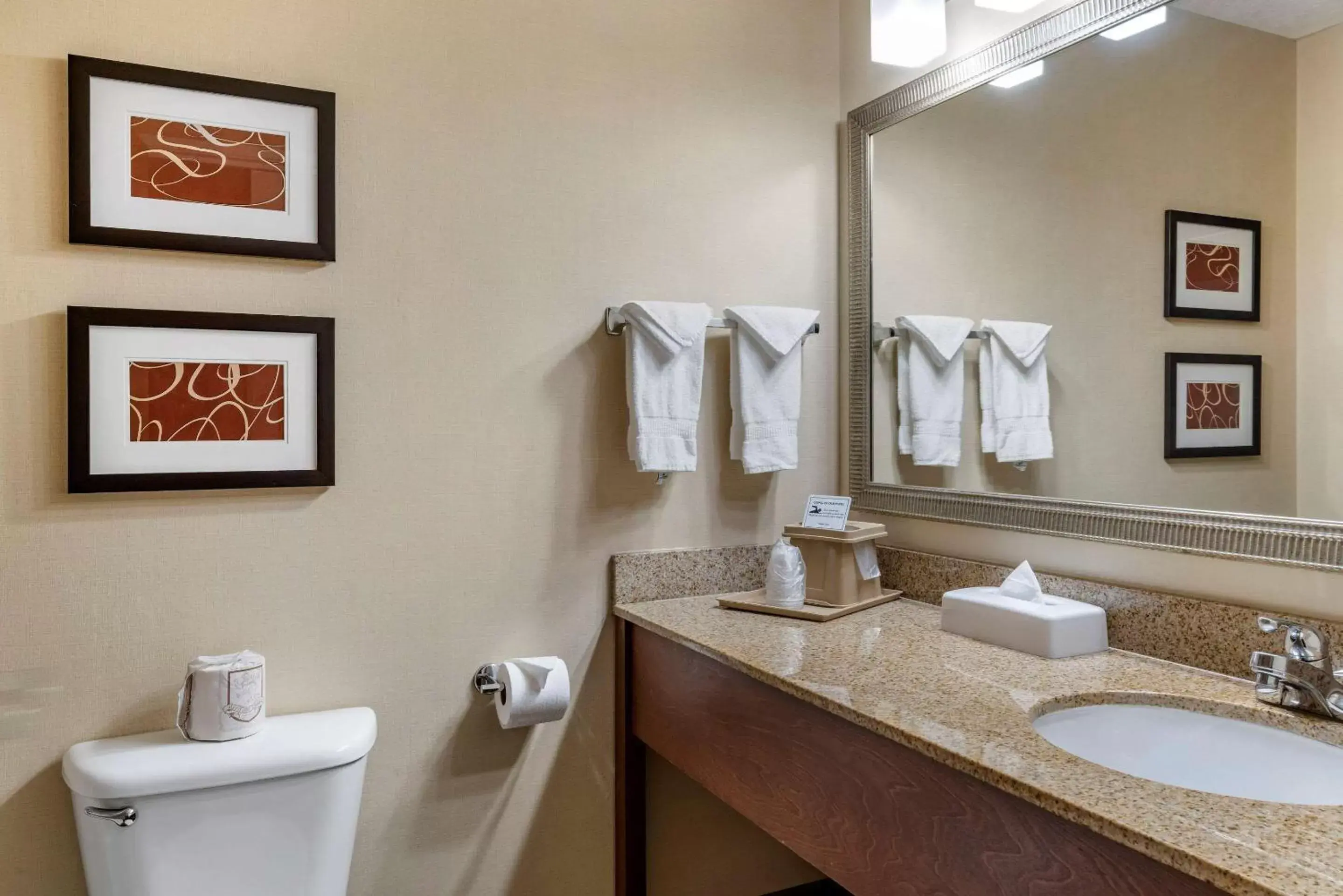 Photo of the whole room, Bathroom in Comfort Suites Linn County Fairground and Expo