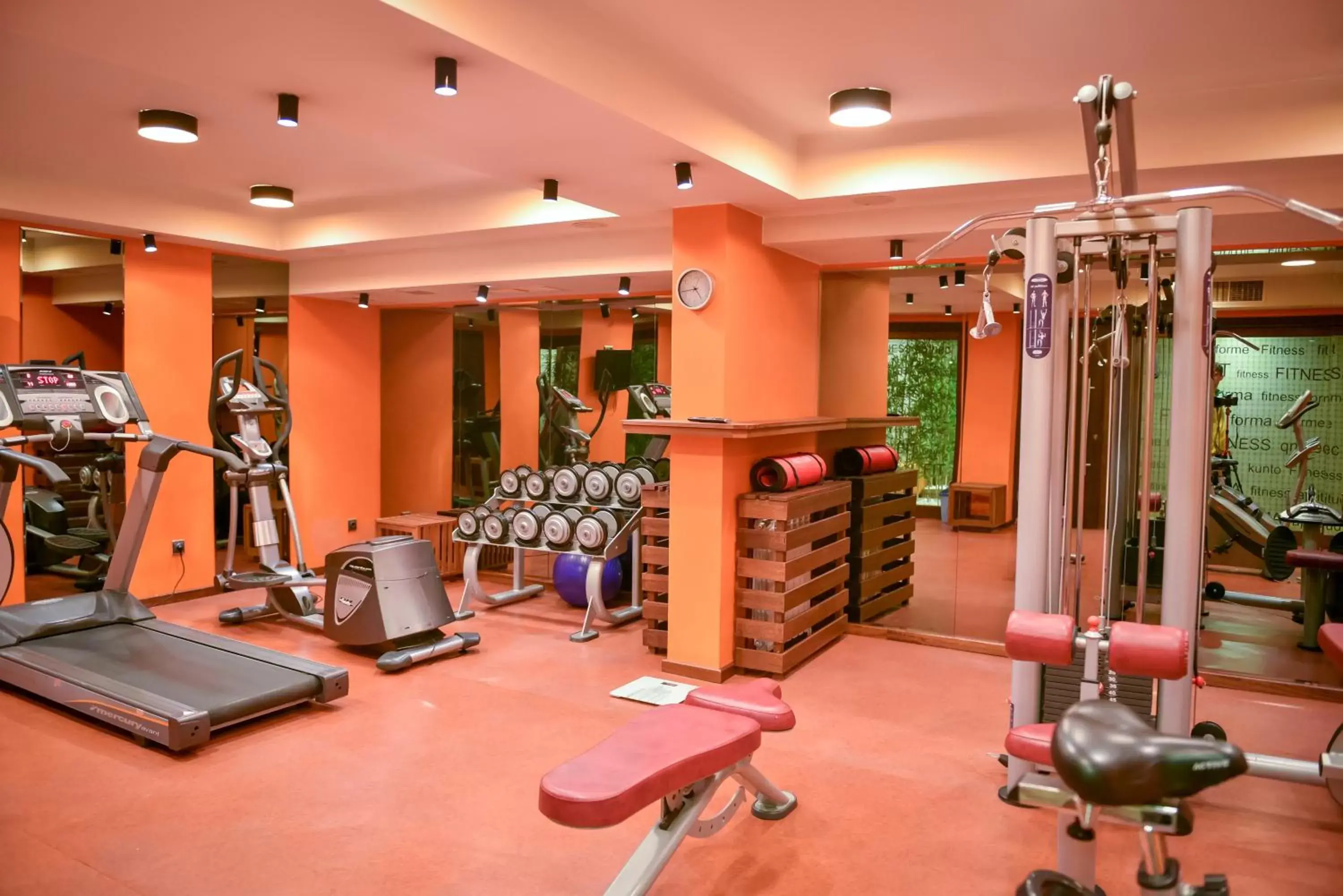 Spa and wellness centre/facilities, Fitness Center/Facilities in Regnum Bansko Ski Hotel & SPA