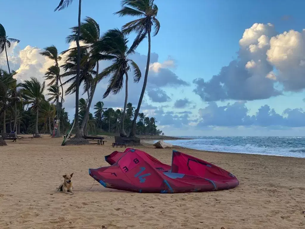 Beach in Cabarete Maravilla Eco Lodge Boutique Beach Surf & Kite