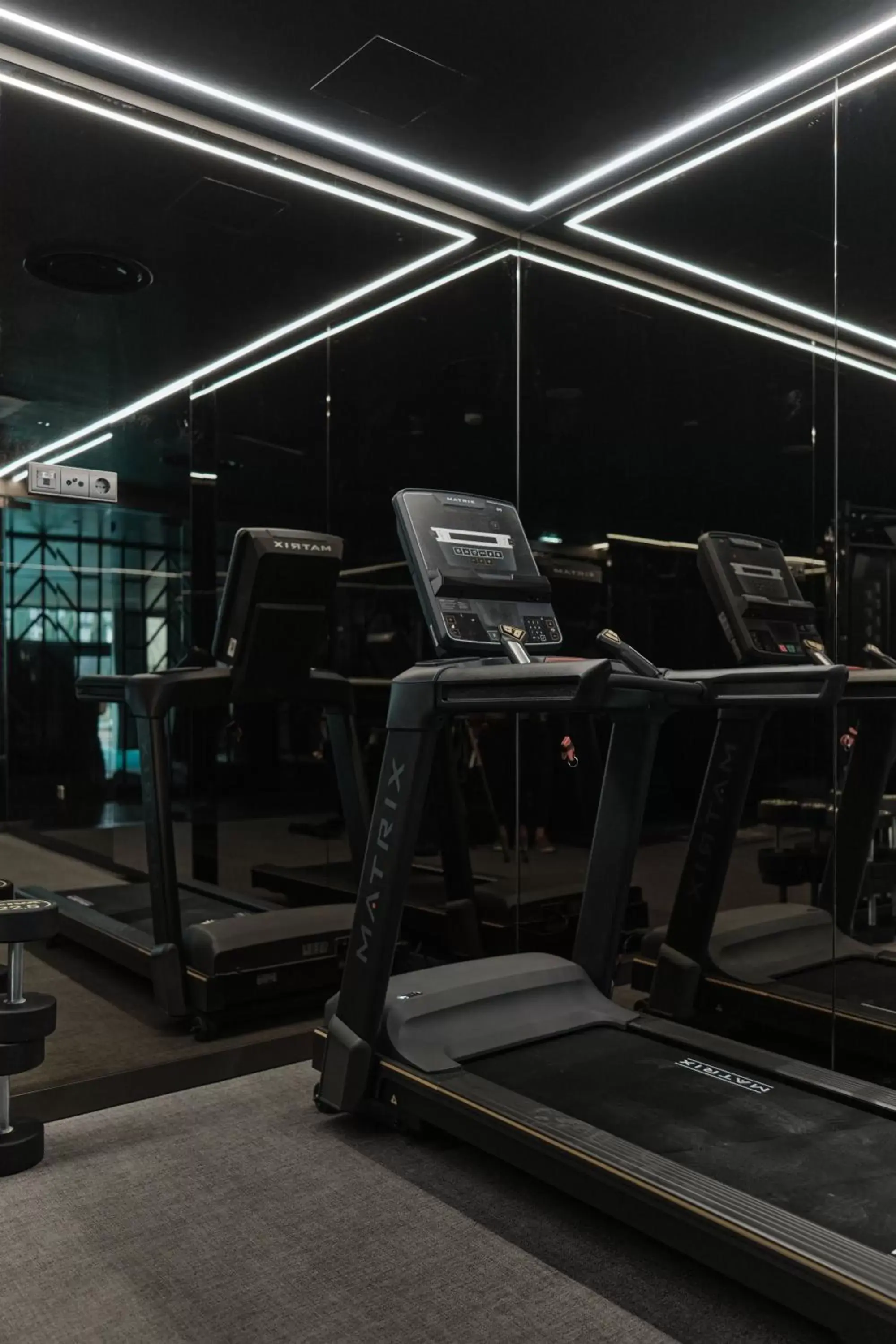 Fitness centre/facilities, Fitness Center/Facilities in GA Palace Hotel
