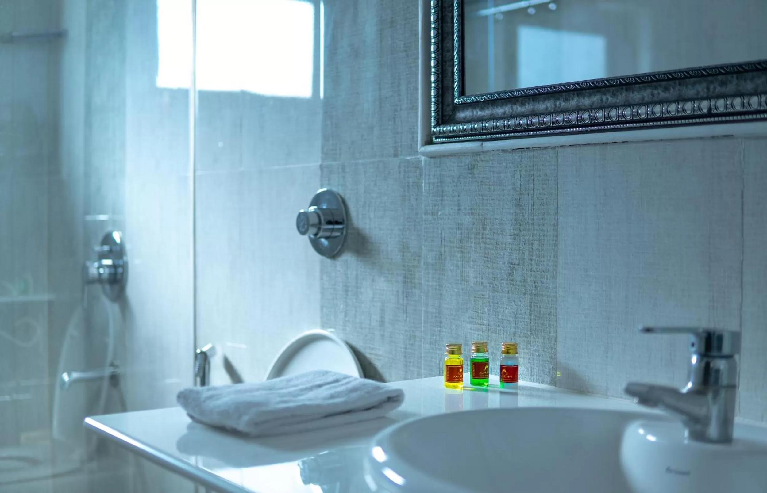 Bathroom in Amar Kothi