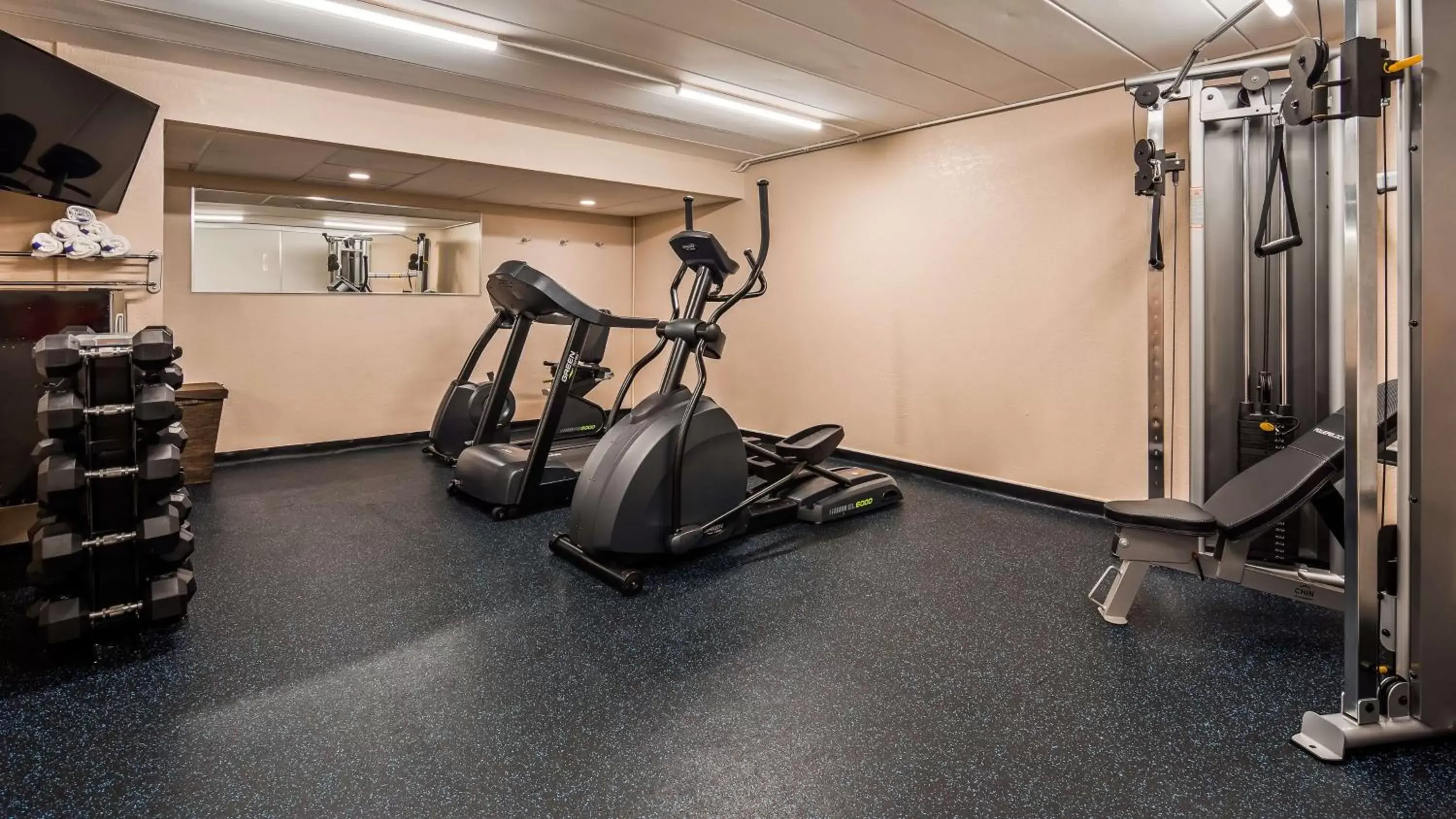 Fitness centre/facilities, Fitness Center/Facilities in Best Western Plus of Birch Run/Frankenmuth