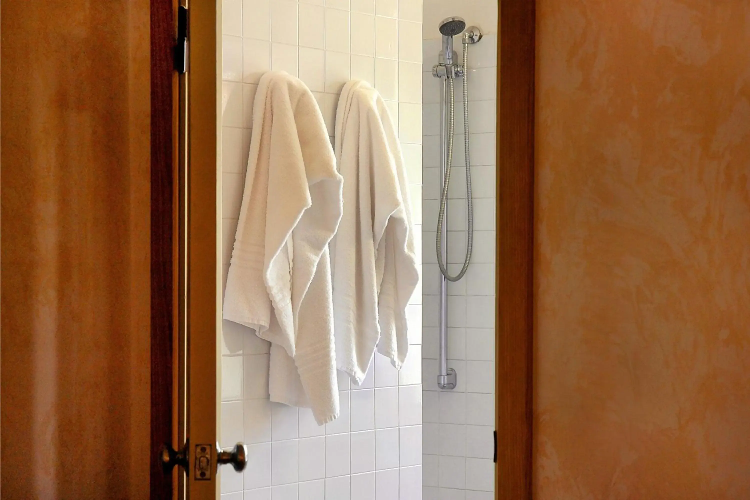 Shower, Bathroom in Hotel Napoleon