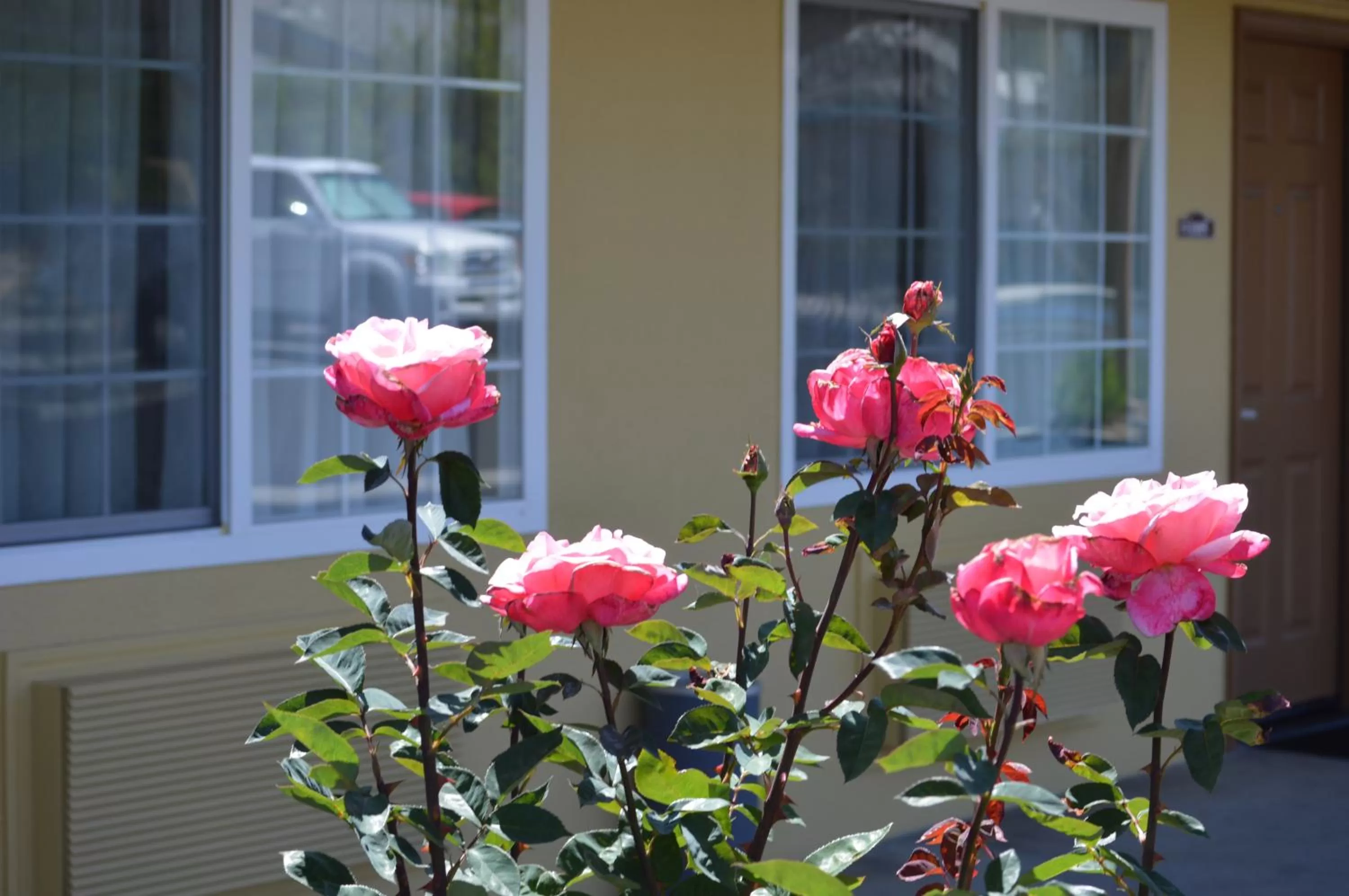 Facade/entrance in Budget Inn