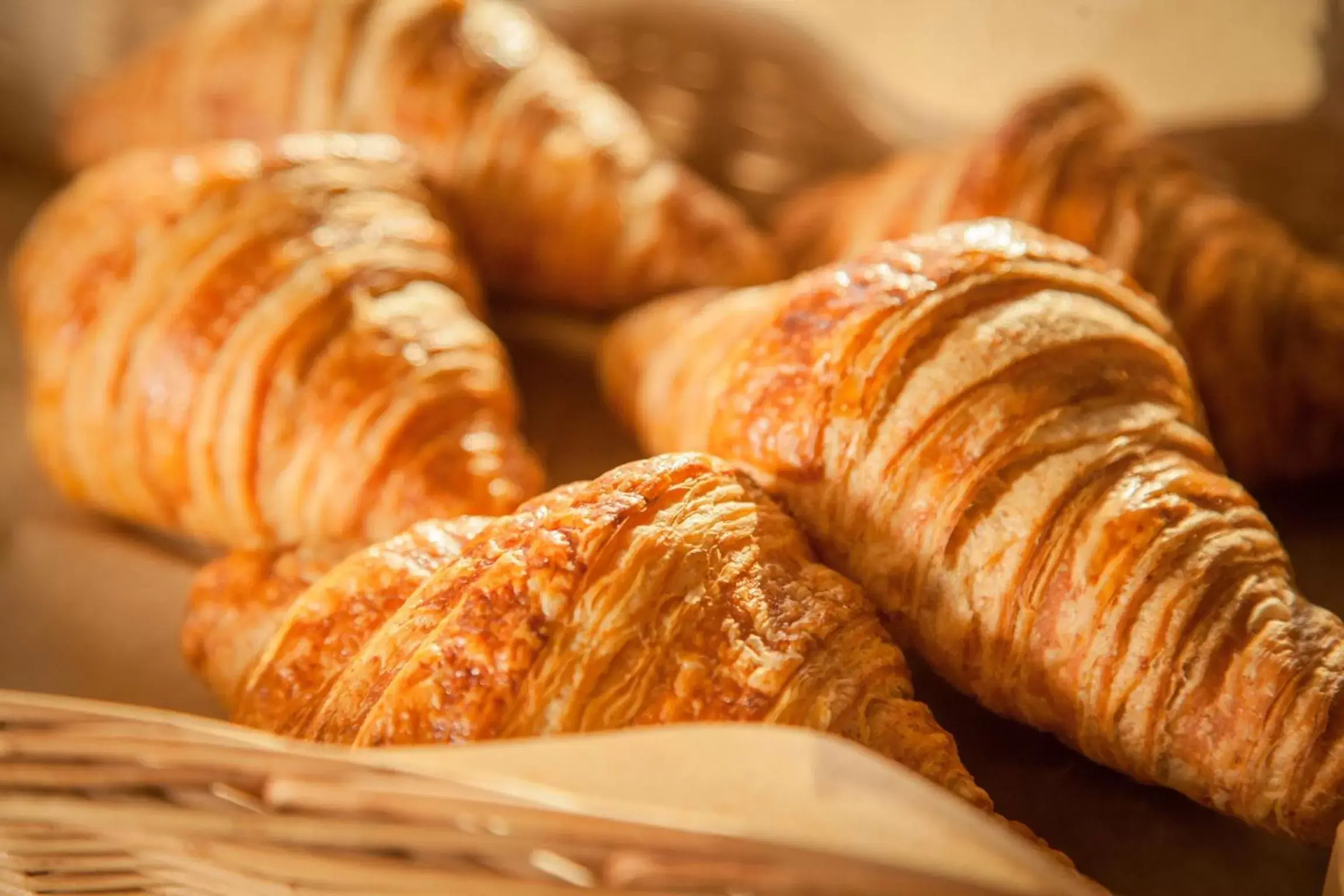 Continental breakfast, Food in Grand Hôtel Lille