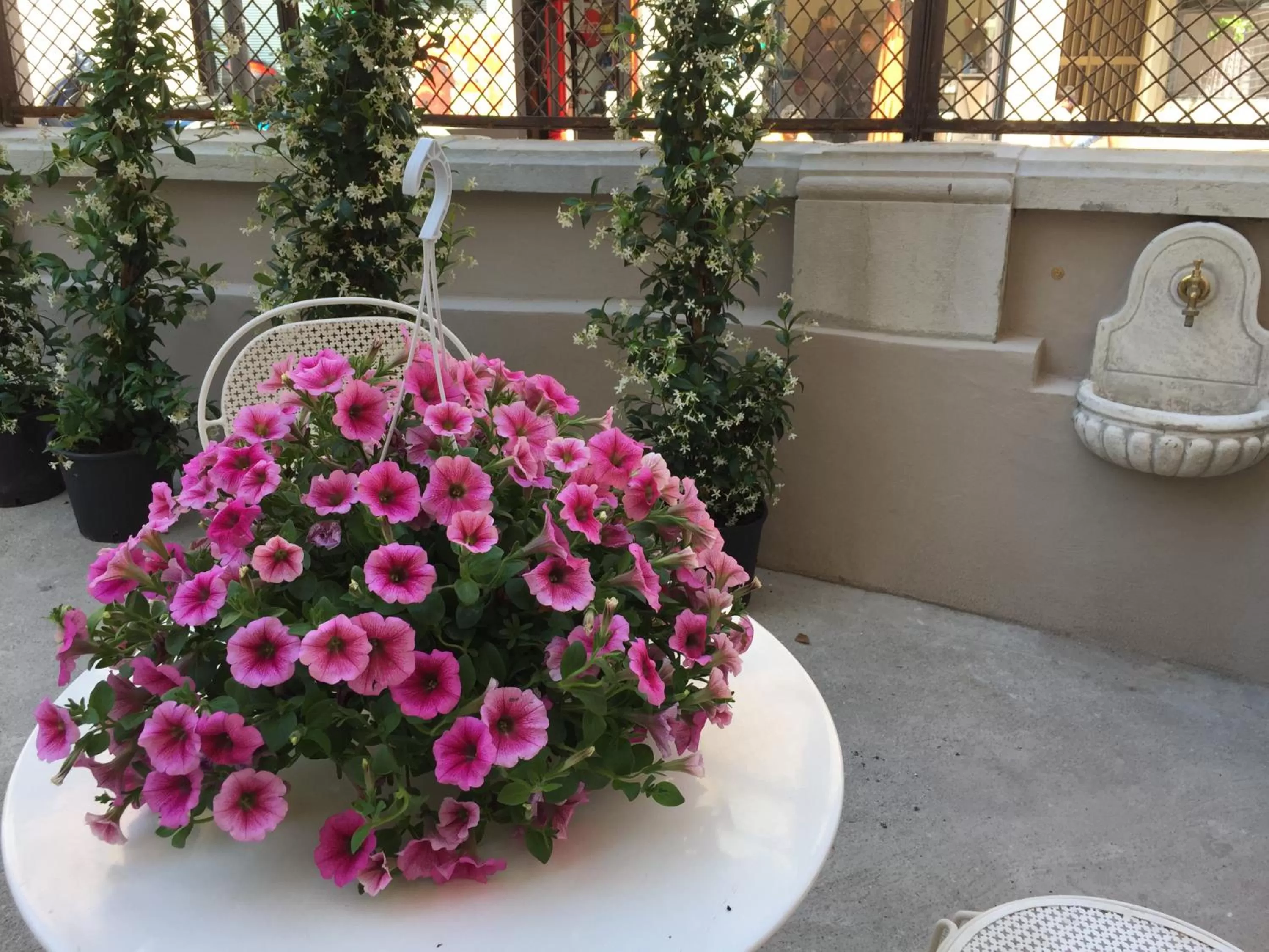 Garden in Residenza Elisa