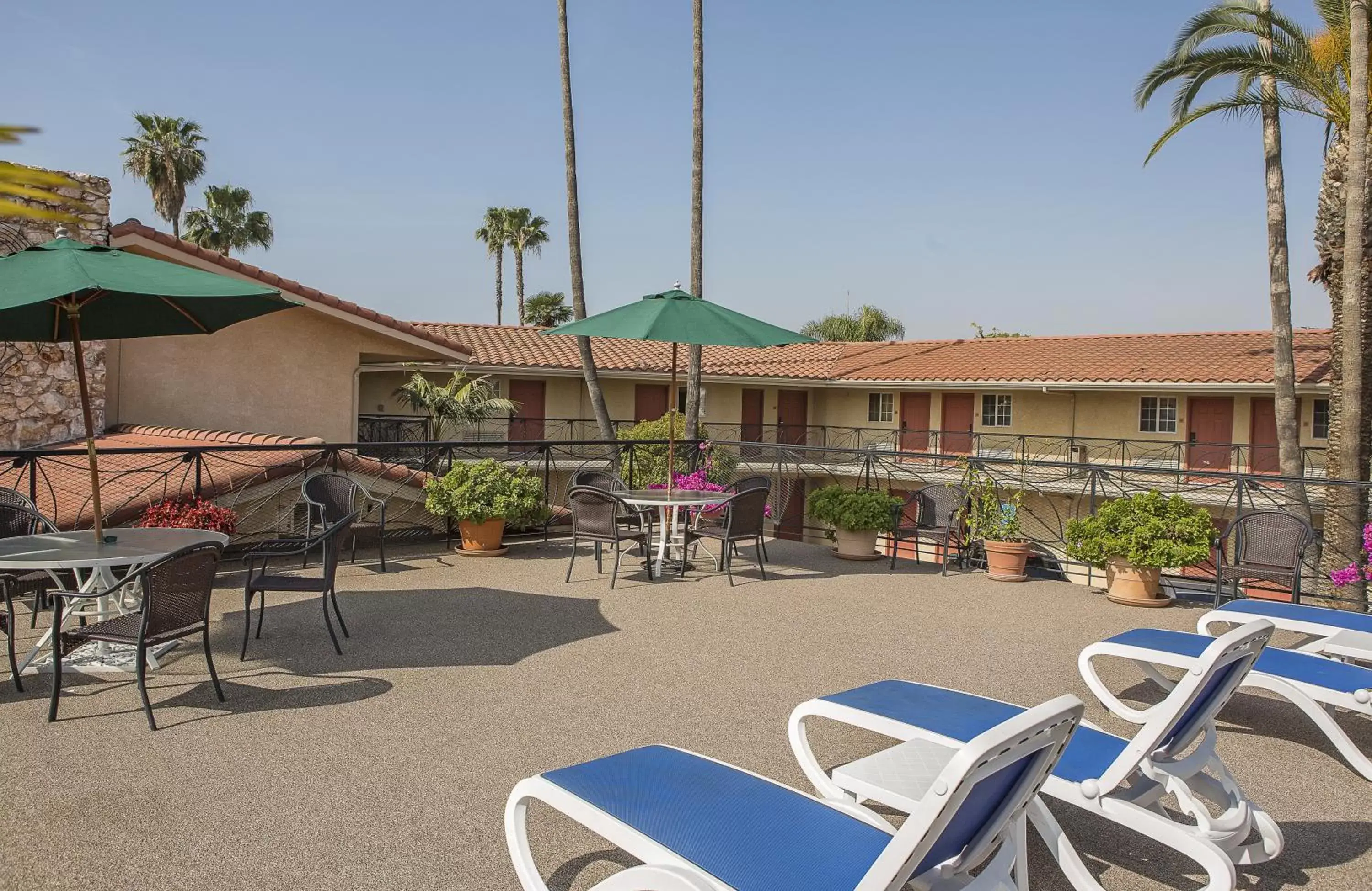 Patio, Property Building in Safari Inn, a Coast Hotel