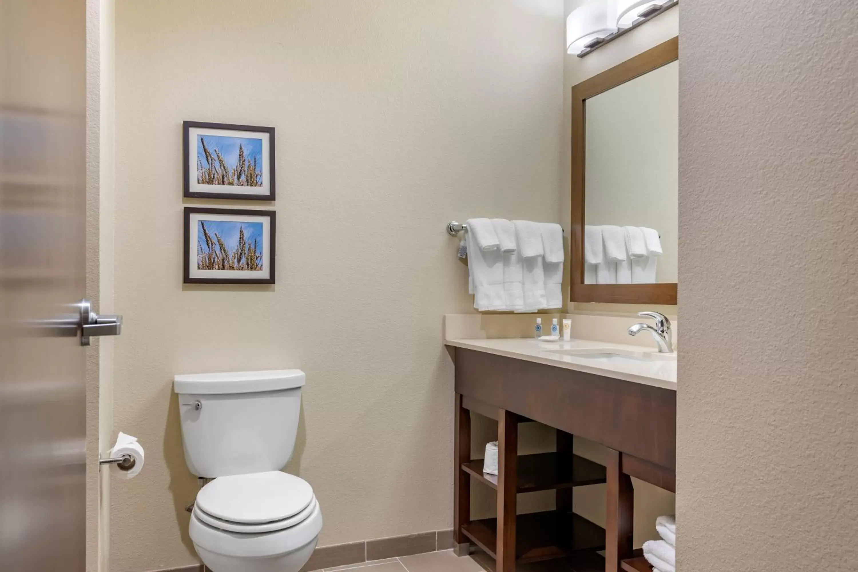 Toilet, Bathroom in Comfort Inn & Suites Augusta