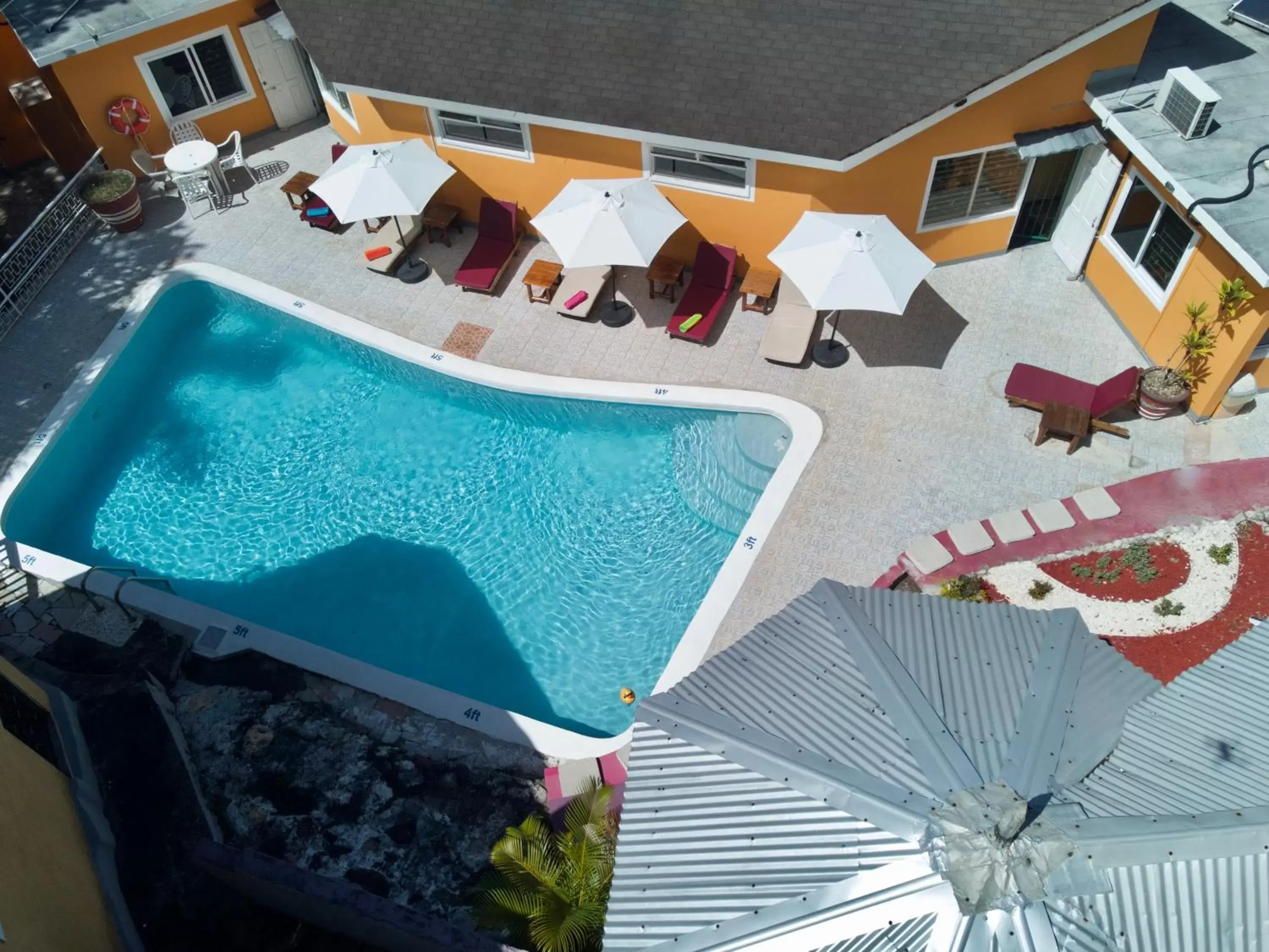 Swimming pool, Pool View in The Blue Orchid B&B