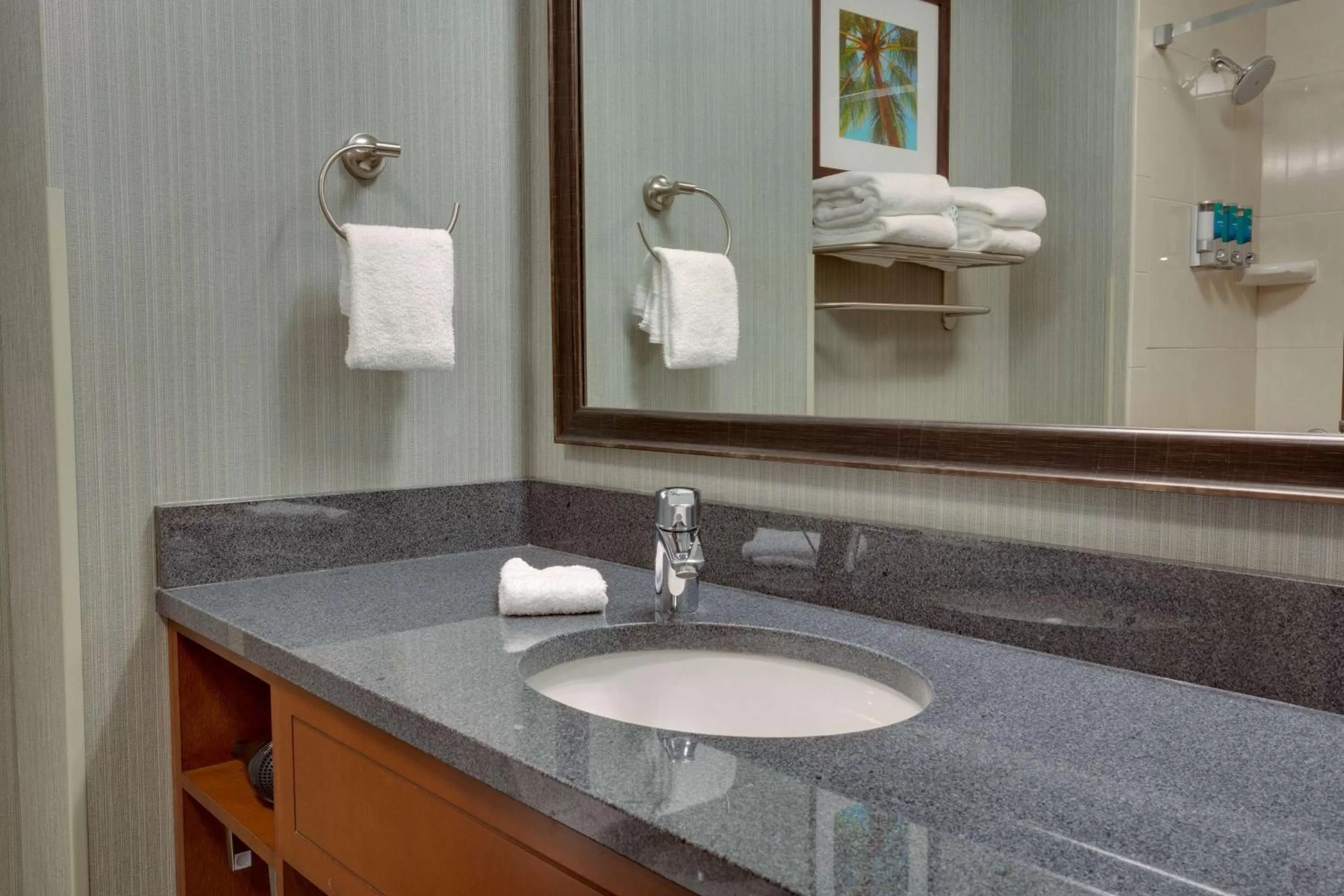 King Suite with Sofa Bed - Accessible, Tub in Drury Inn & Suites Gainesville