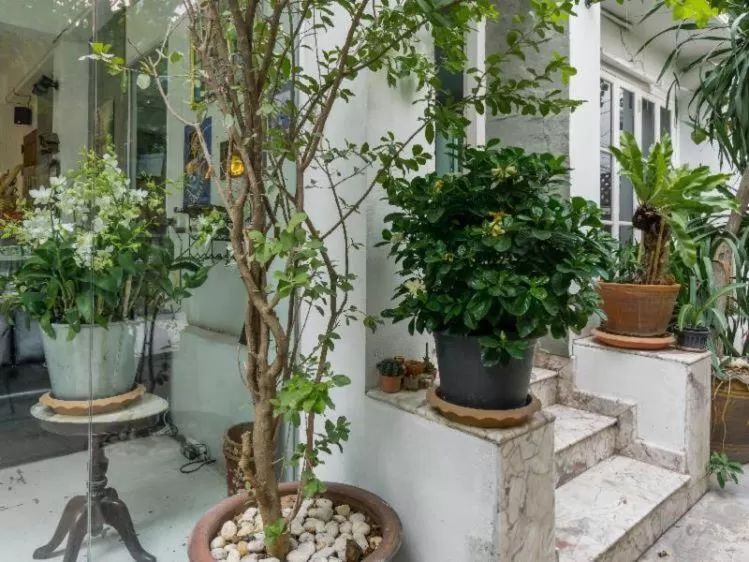 Oriental Smile Hotel