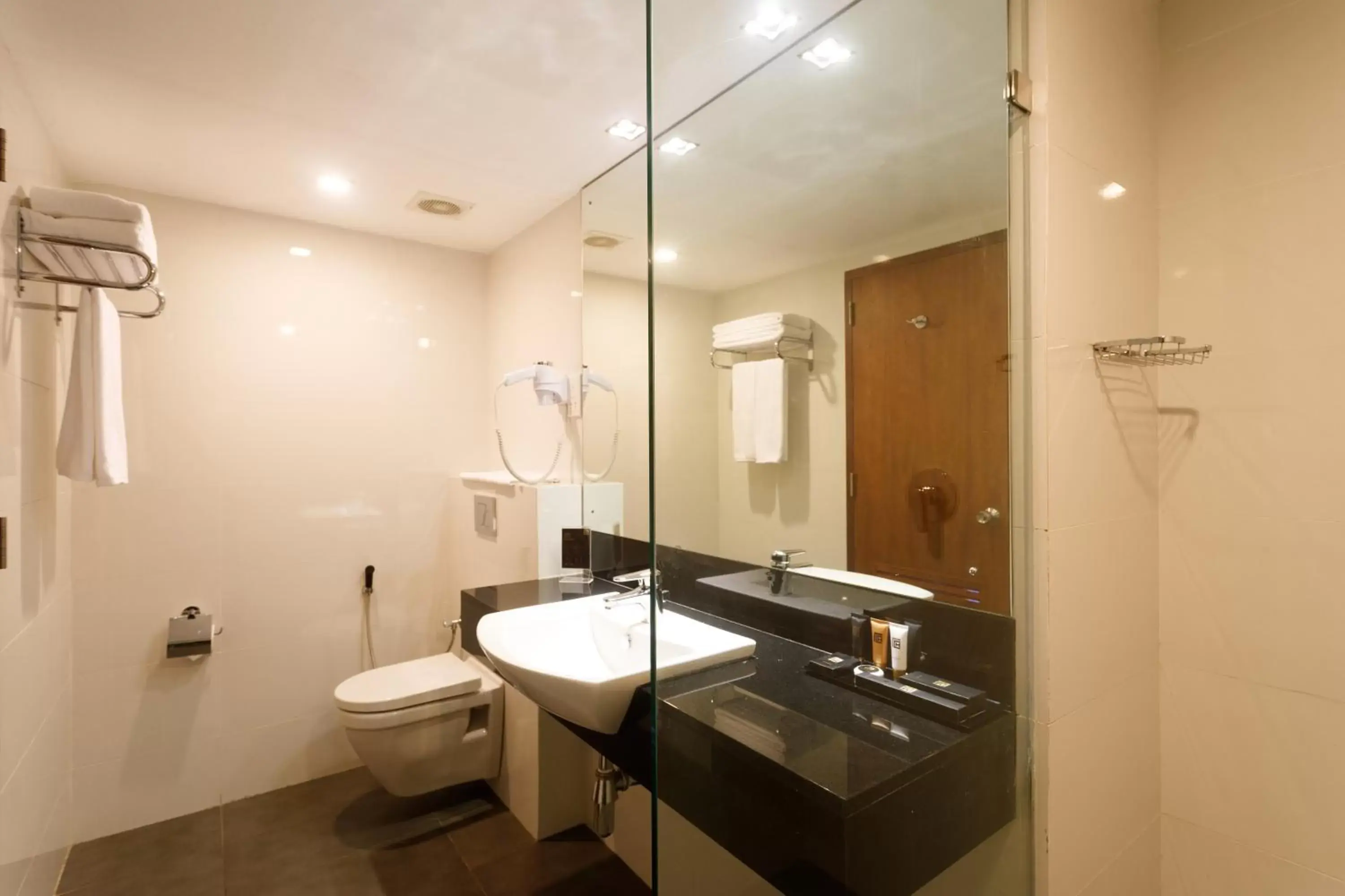 Shower, Bathroom in Renuka City Hotel