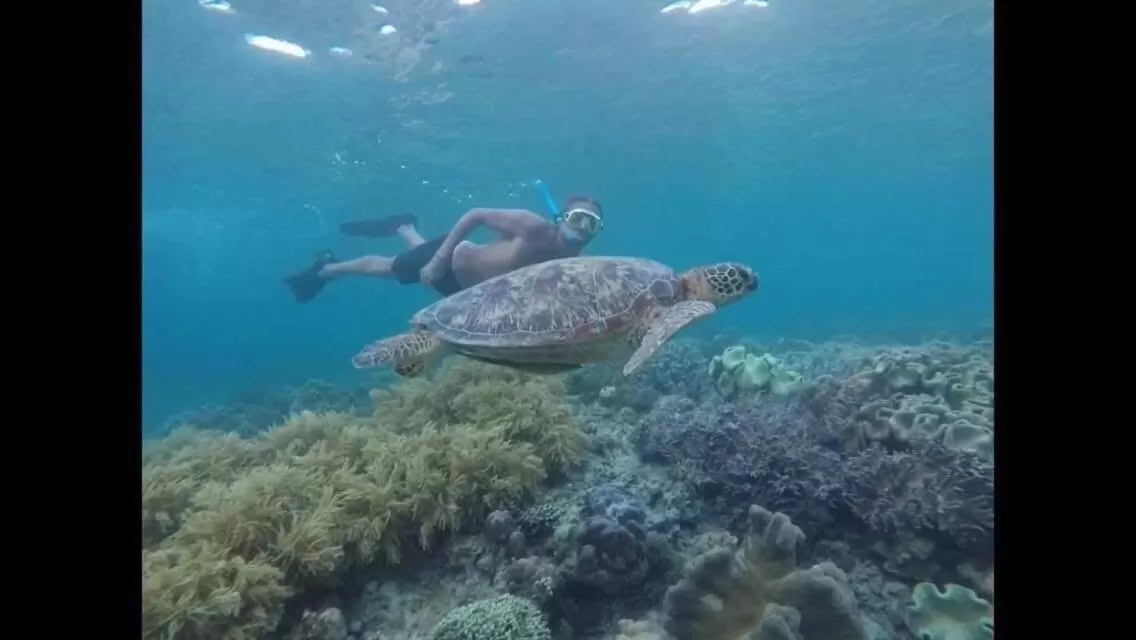 Snorkeling in Moalboal T Breeze Coastal Resort
