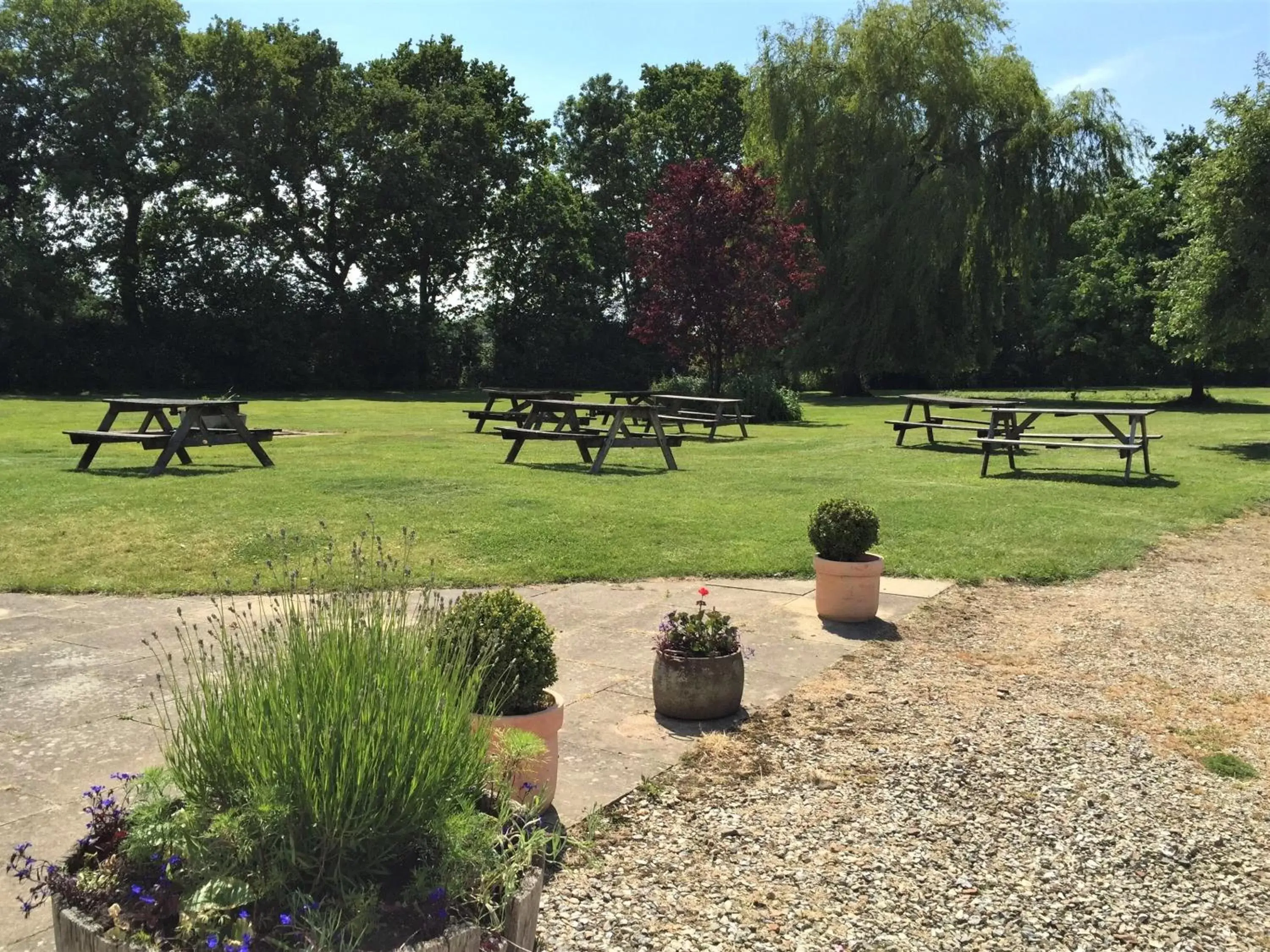 Patio, Garden in George & Dragon Hotel Wolverton Townsend