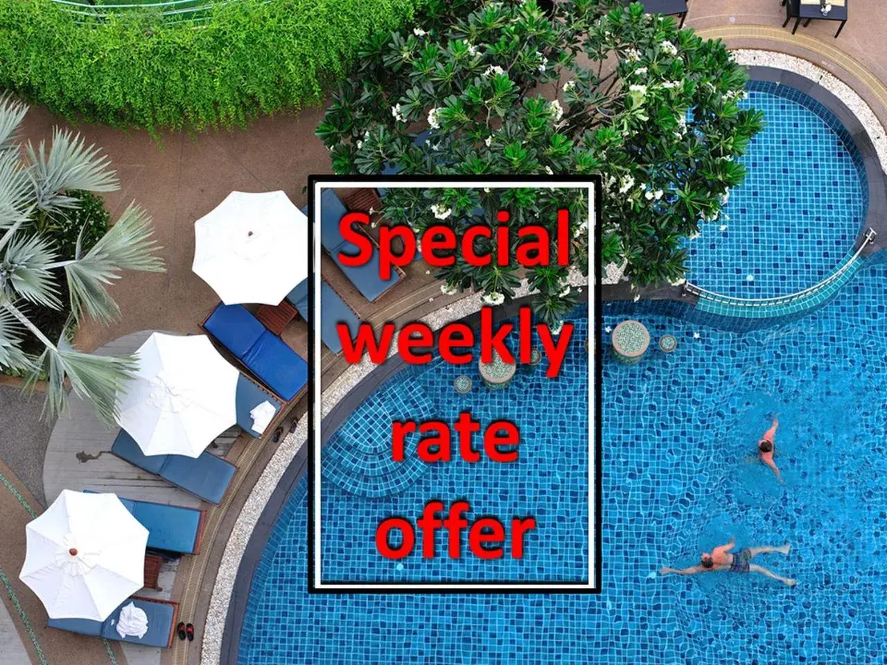 Swimming pool in Palmyra Patong Resort Phuket - SHA Extra Plus Swimming pool in Palmyra Patong Resort Phuket - SHA Extra Plus