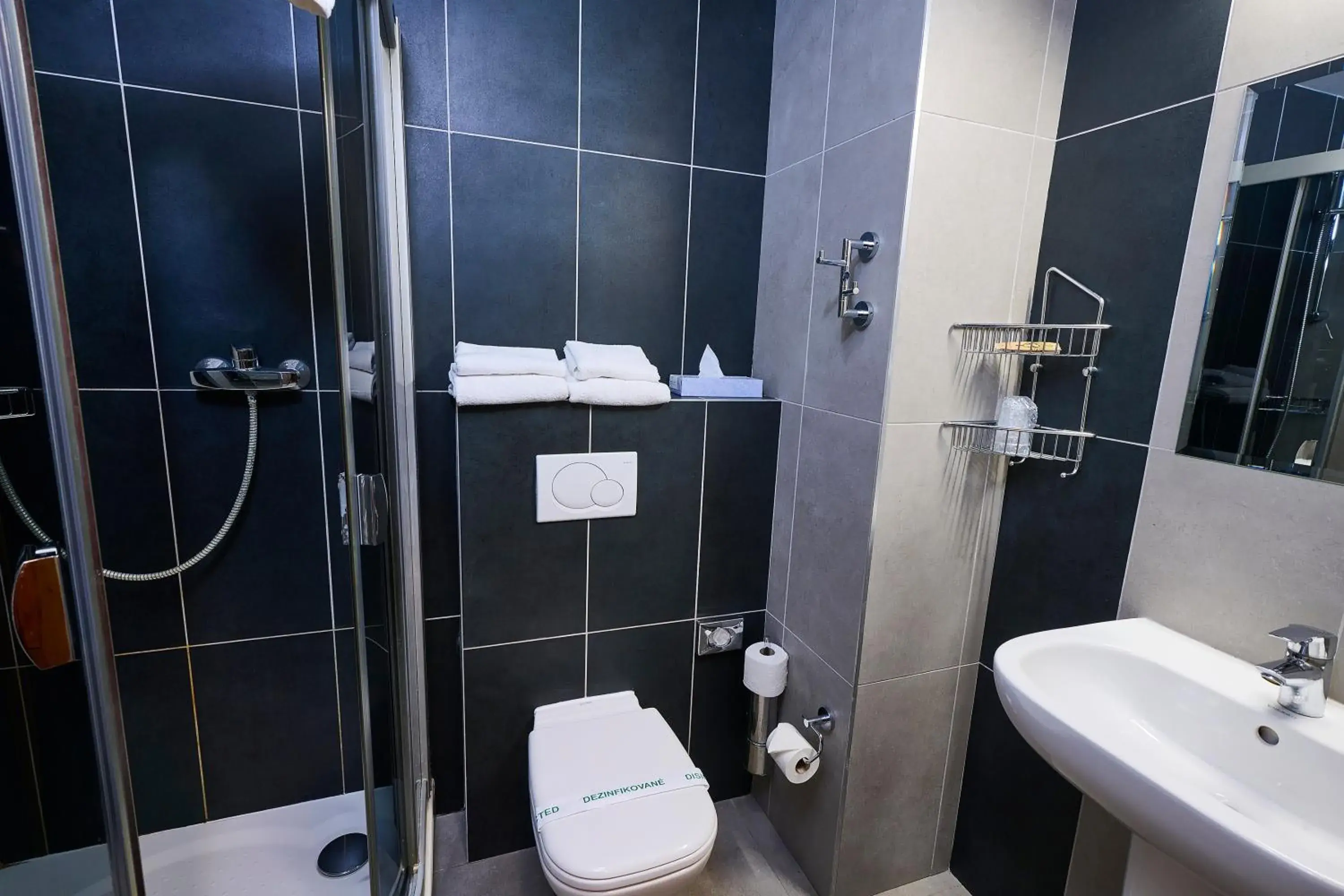Shower, Bathroom in Hotel Sorea Regia