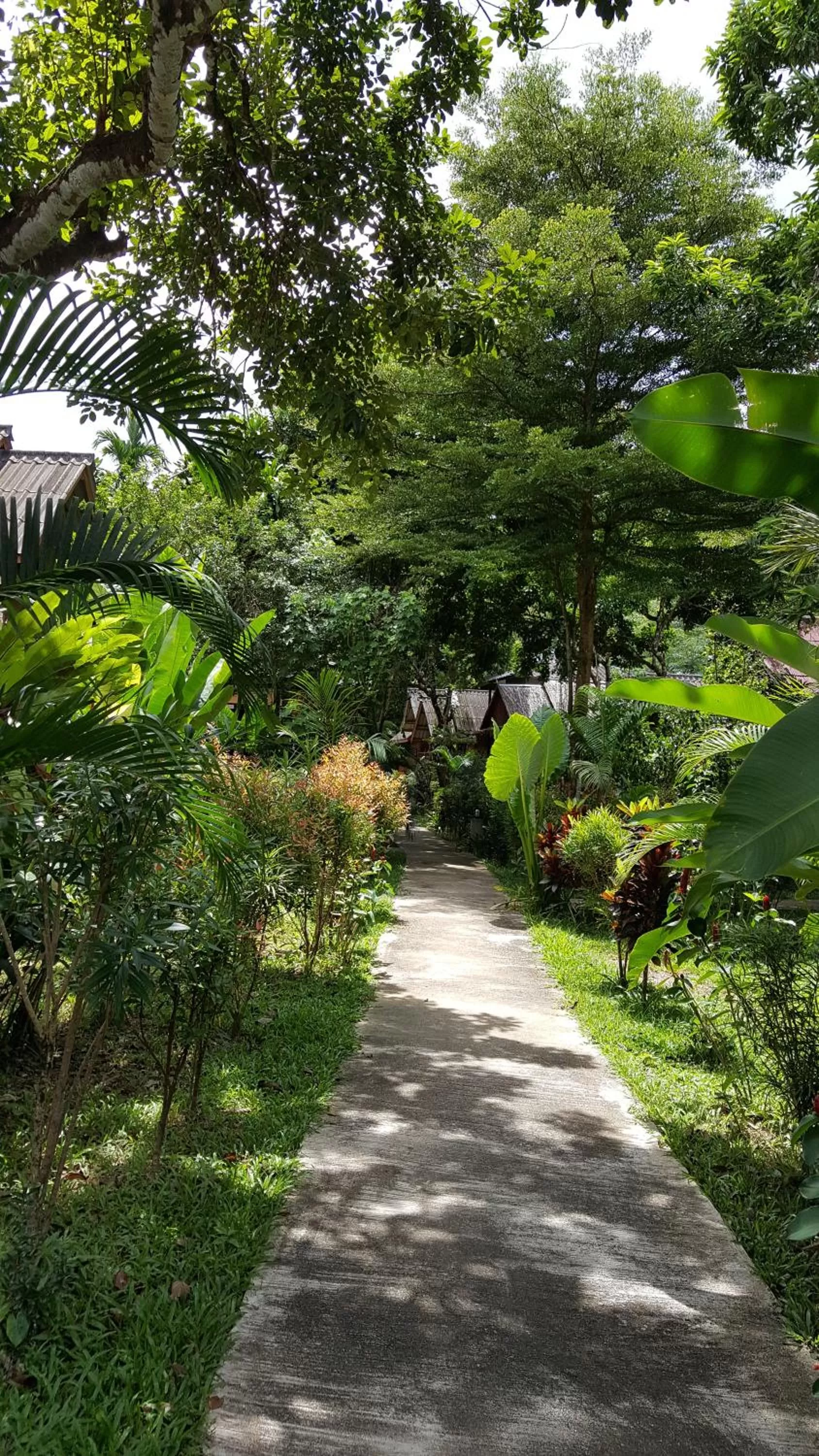 Garden in Khao Sok Jungle Huts Resort