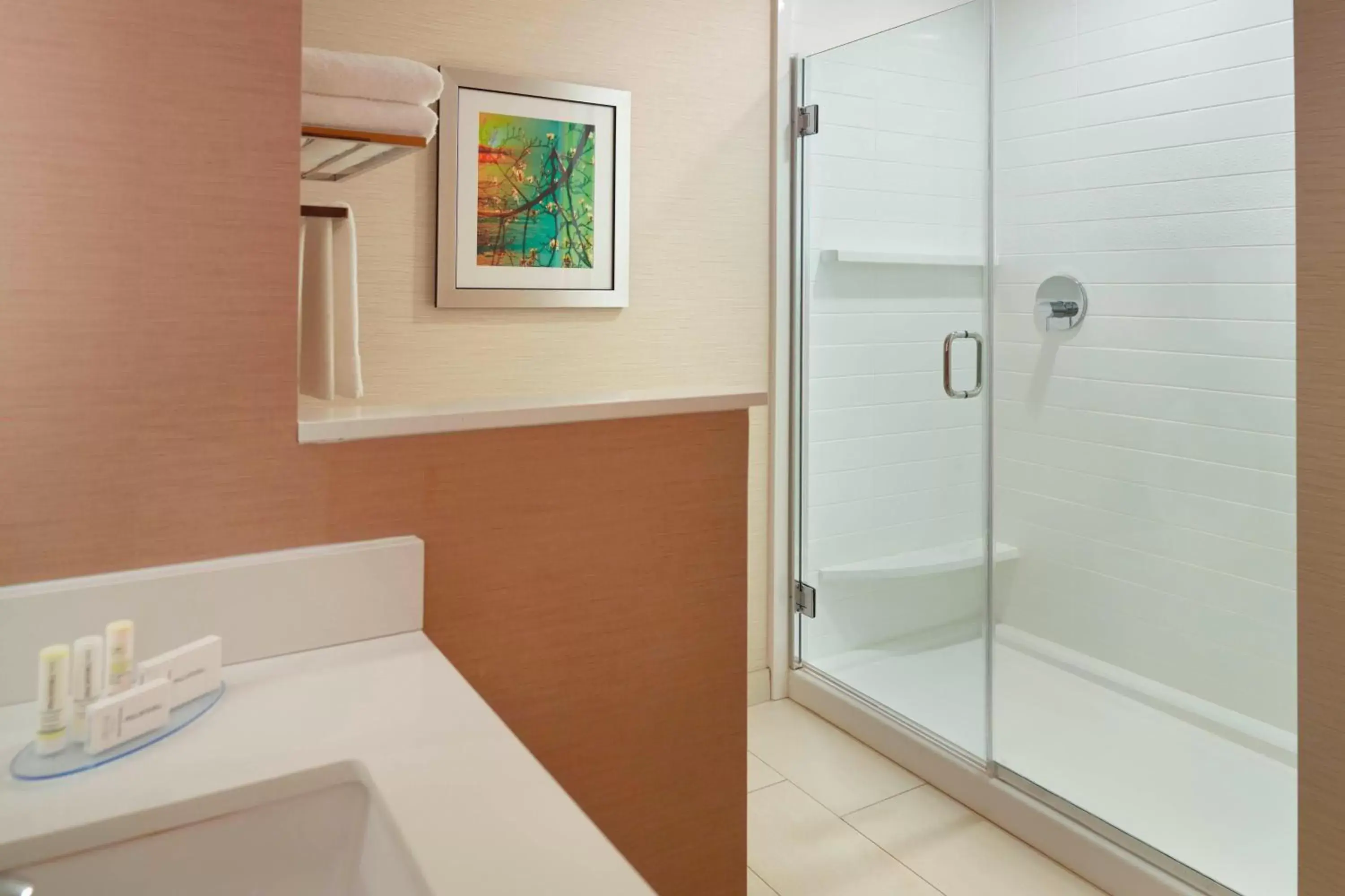 Bathroom in Fairfield Inn & Suites by Marriott Hendersonville Flat Rock