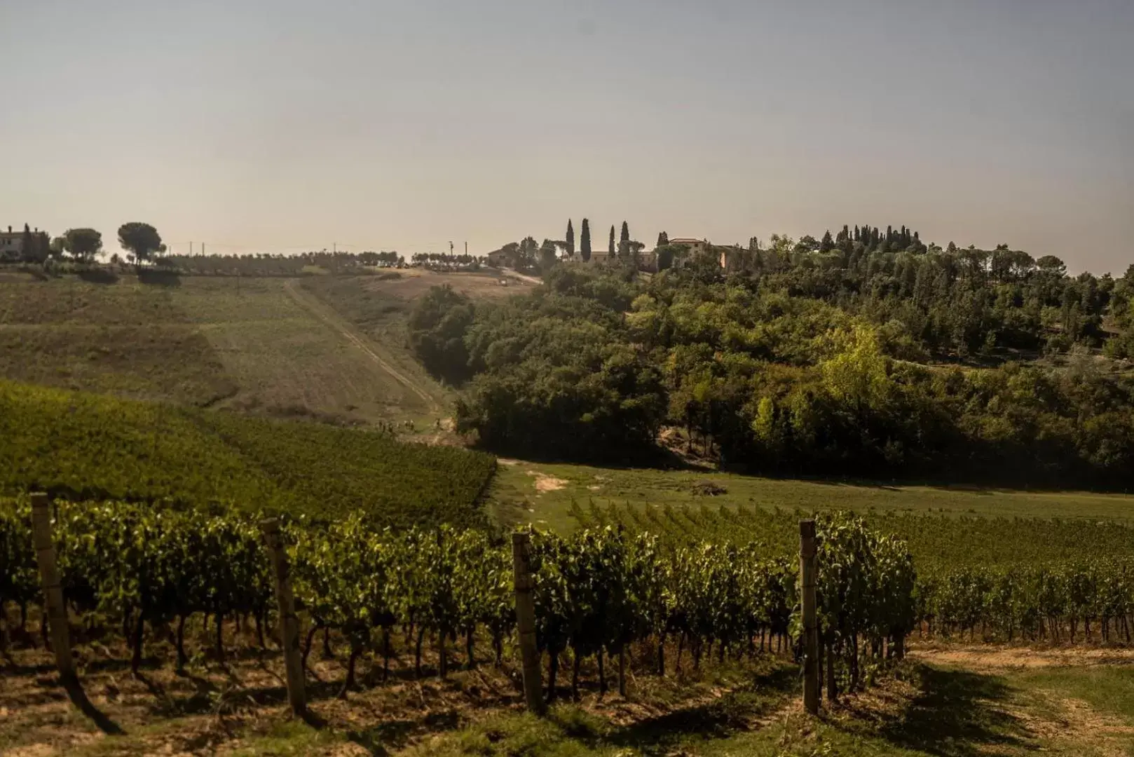 Natural Landscape in Villa Petriolo