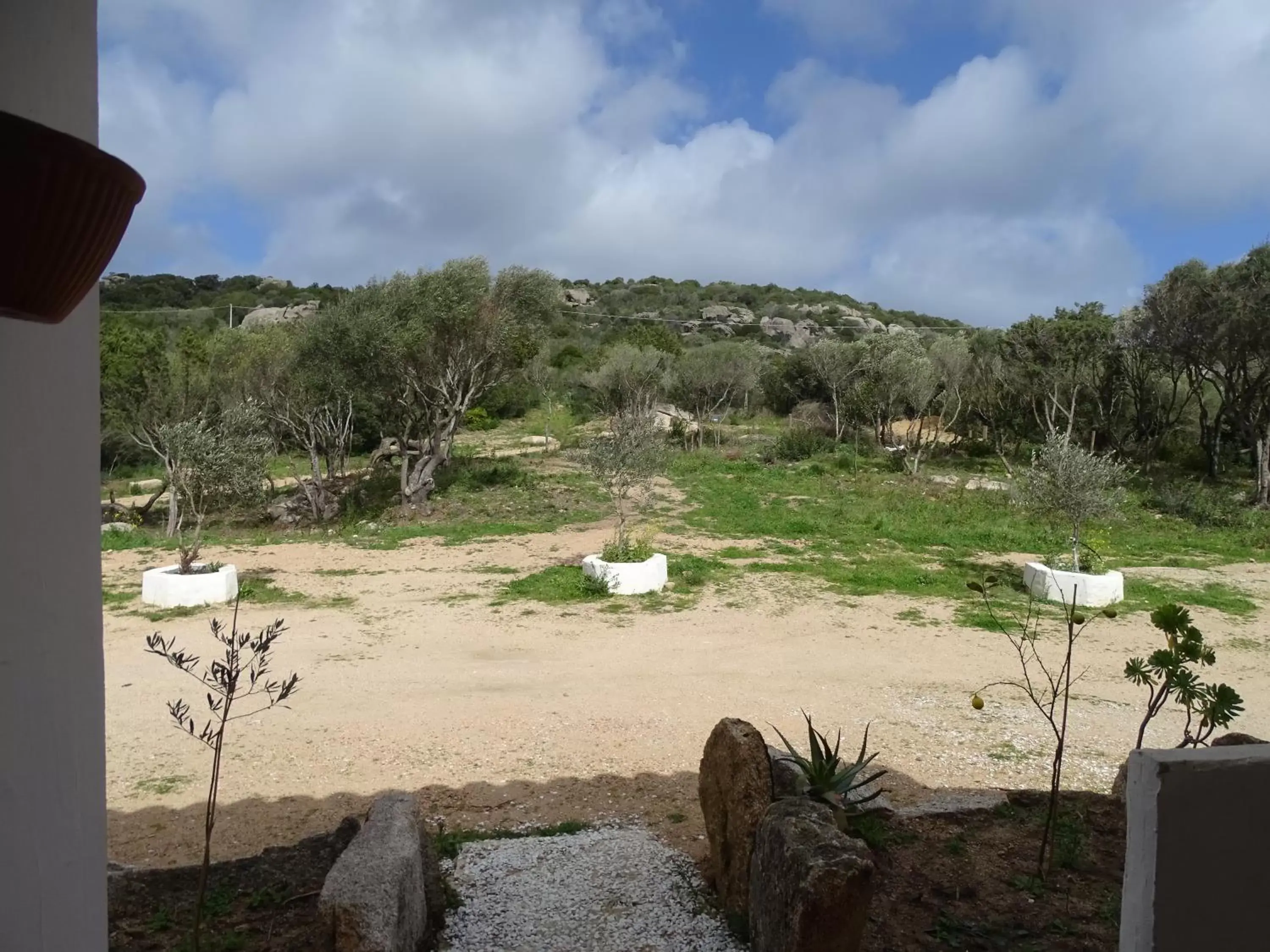 View (from property/room) in Locanda Domus De Vida Turismo Rurale