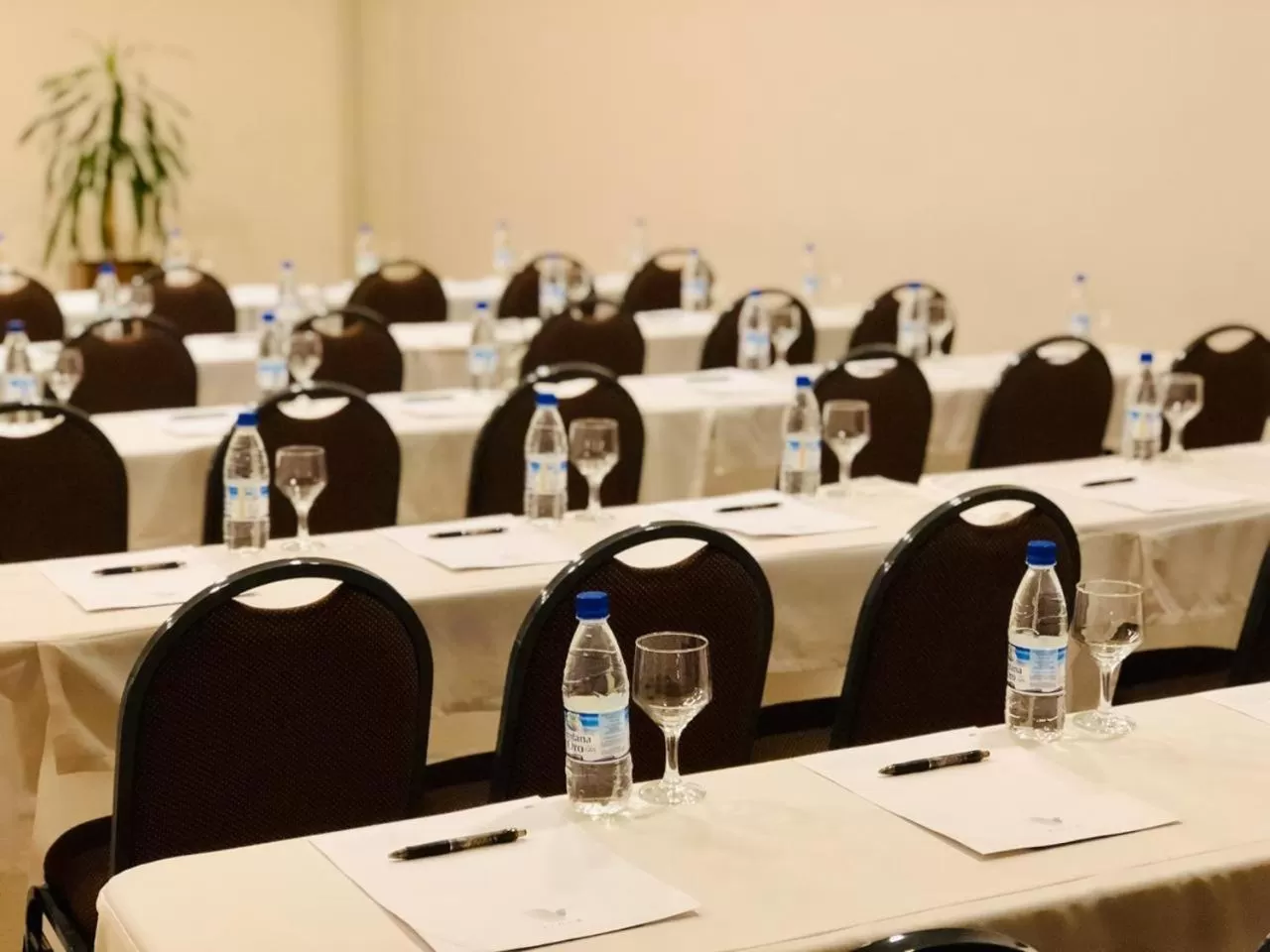 Business facilities in Viale Tower Hotel