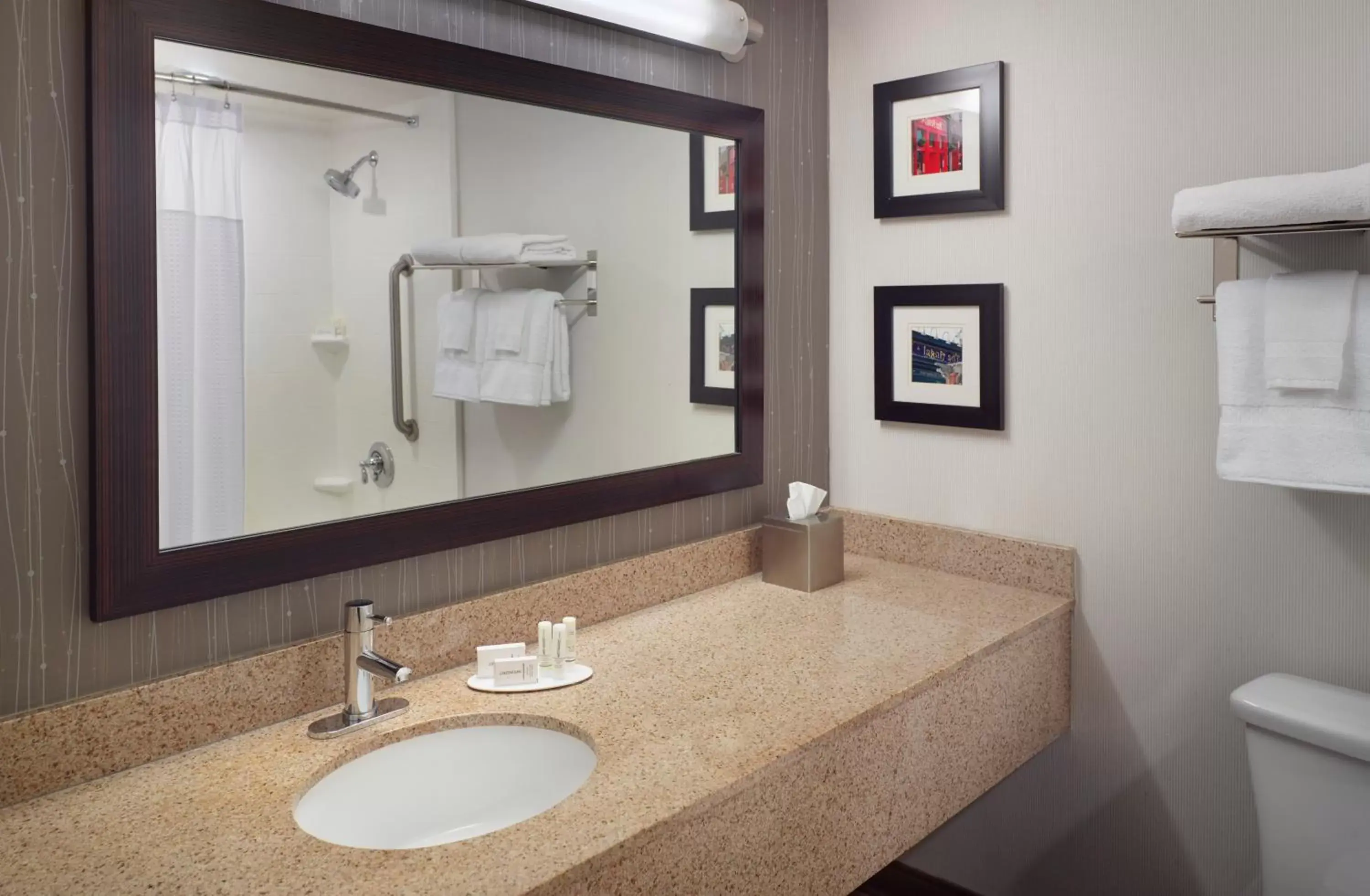 Deluxe King Room - Non-Smoking in Courtyard Atlanta Decatur Downtown/Emory Deluxe King Room - Non-Smoking in Courtyard Atlanta Decatur Downtown/Emory