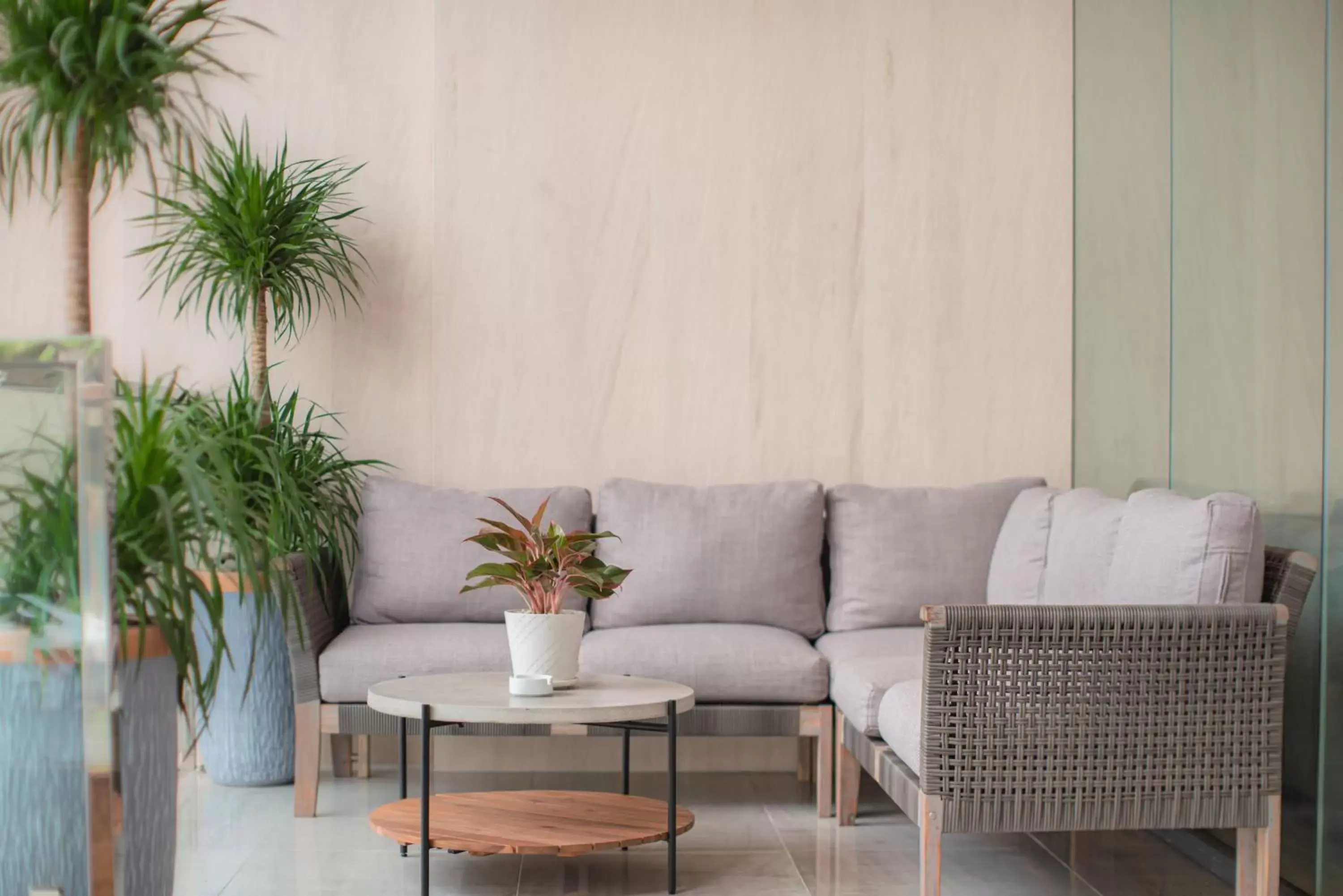 Lobby or reception, Seating Area in Zenia Boutique Hotel Nha Trang