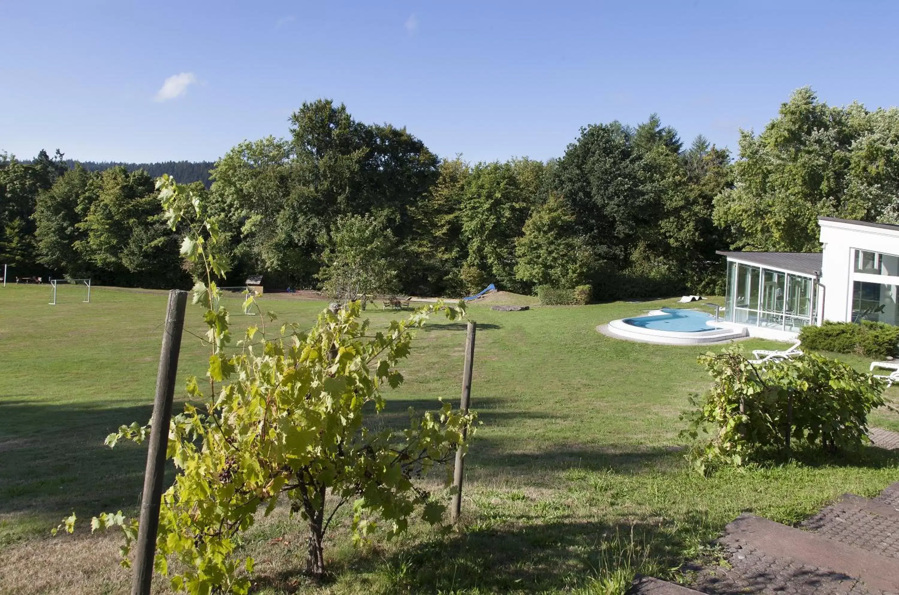 Garden view in Hotel Schwarzwald Freudenstadt