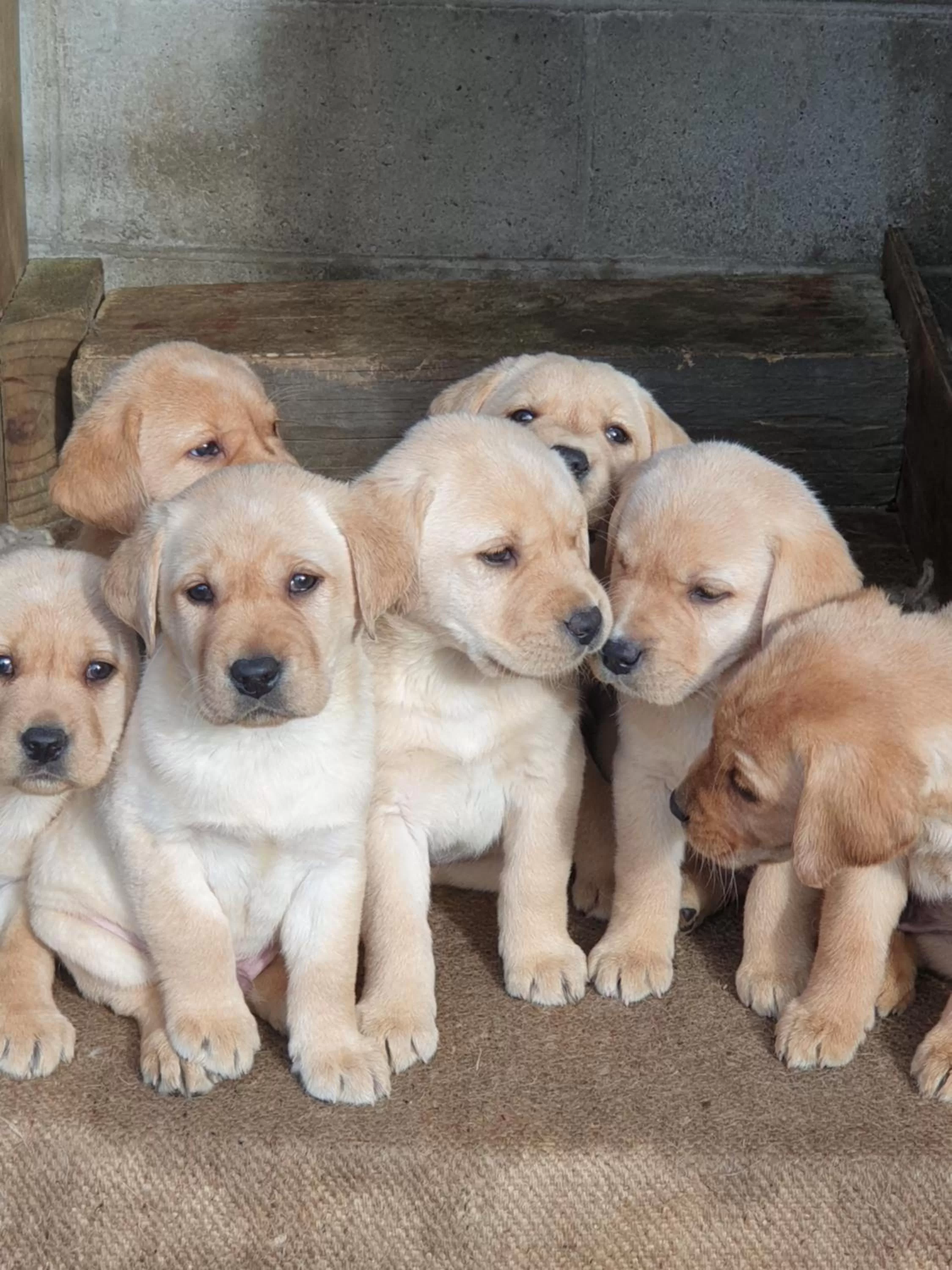 Hokonui Bed & Breakfast