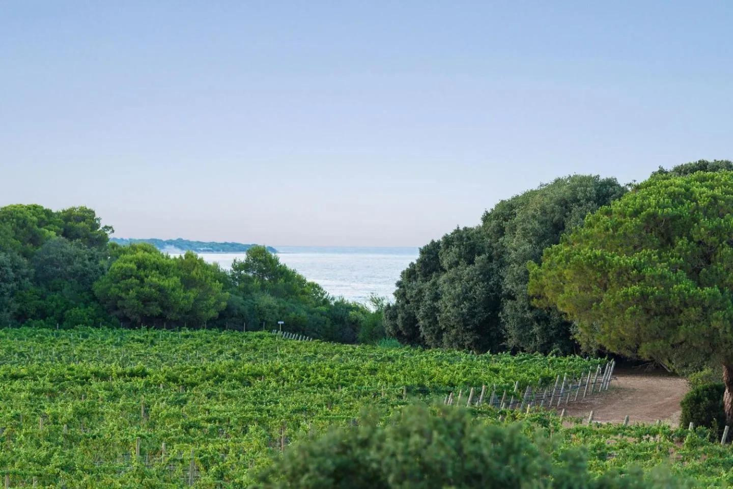 On site in Masseria Mongiò dell'Elefante