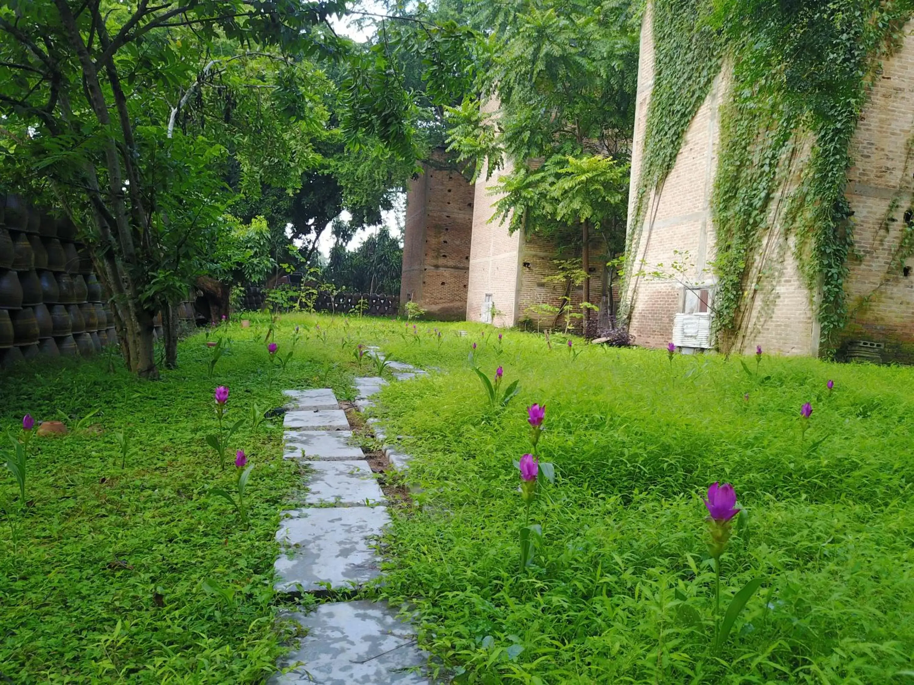 Garden view, Garden in Kaomai Lanna Resort