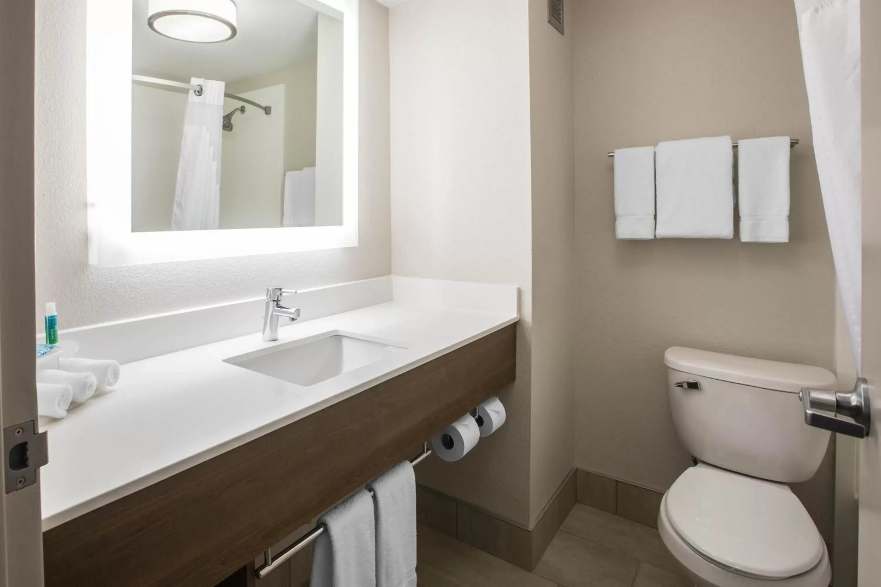 Bathroom in Holiday Inn Express & Suites Ludington, an IHG Hotel