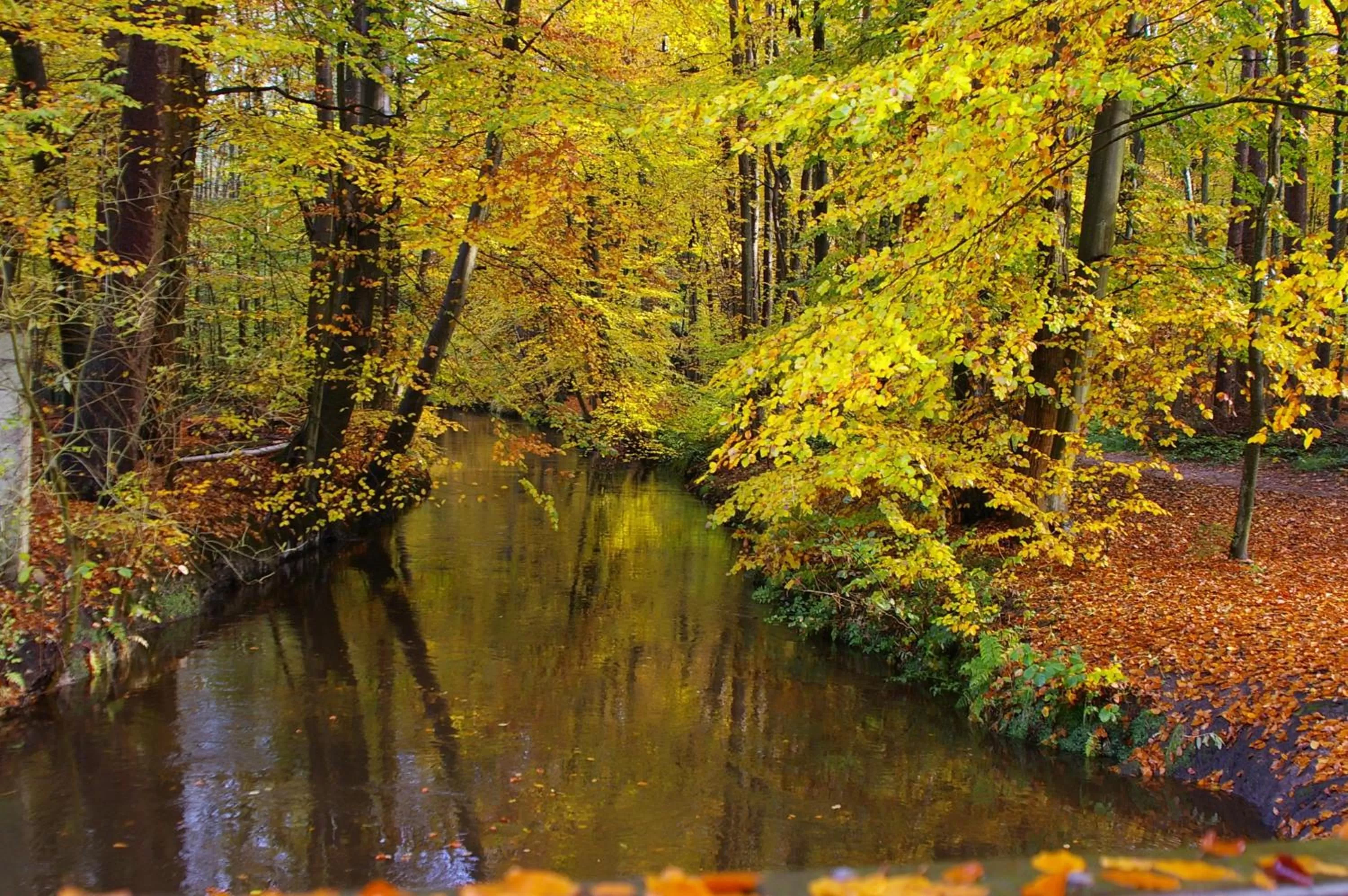 Staff in Hotel Paulsen