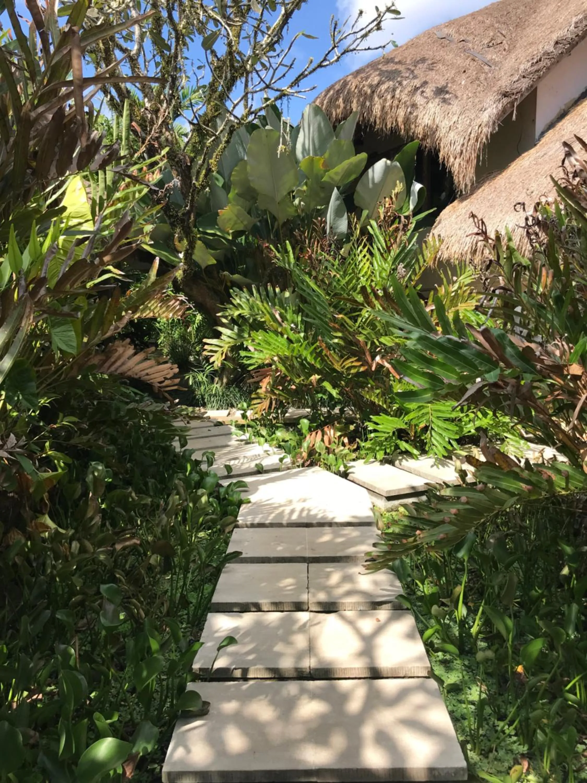 Patio in Villa Mathis