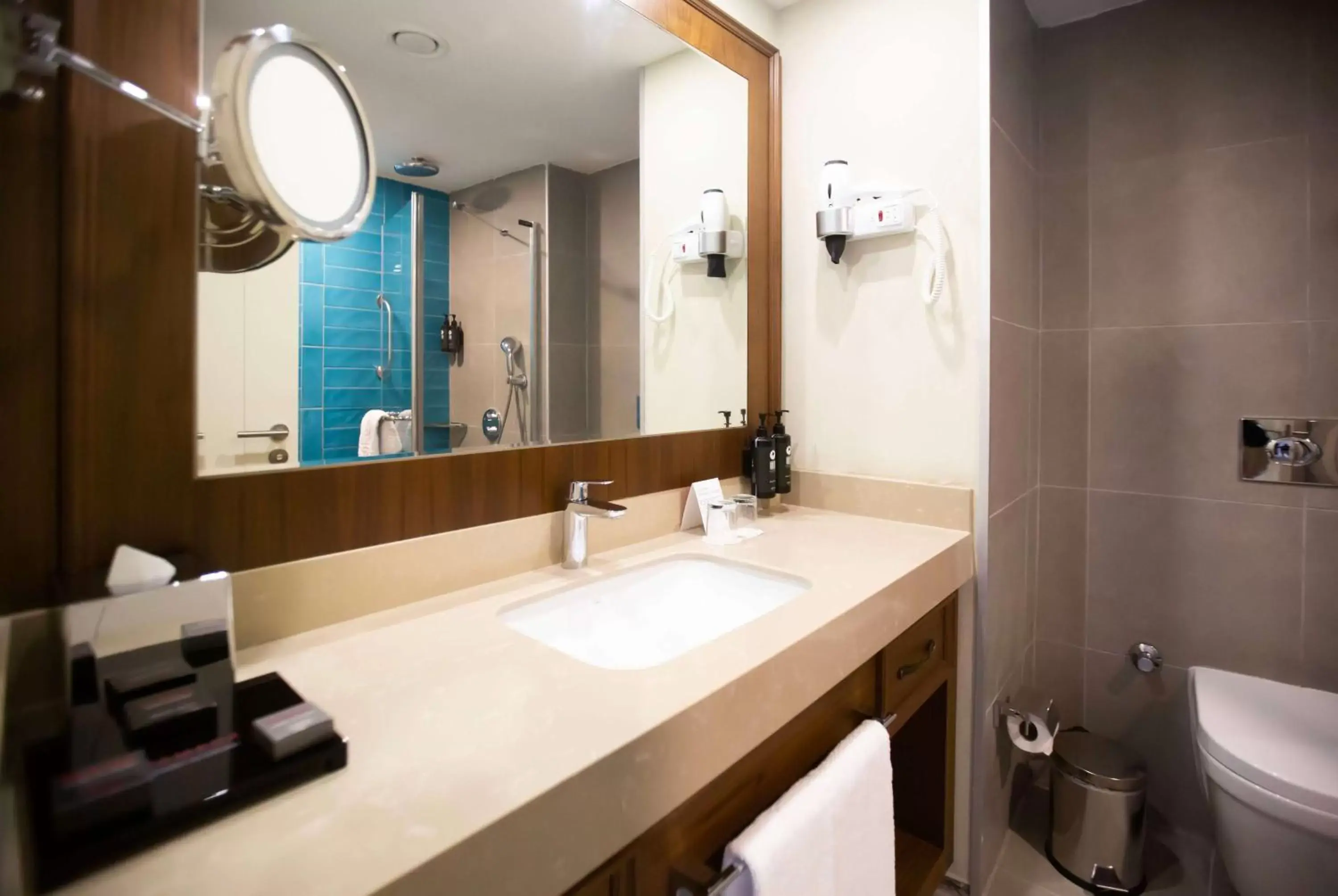 TV and multimedia, Bathroom in Ramada Plaza Sultanahmet