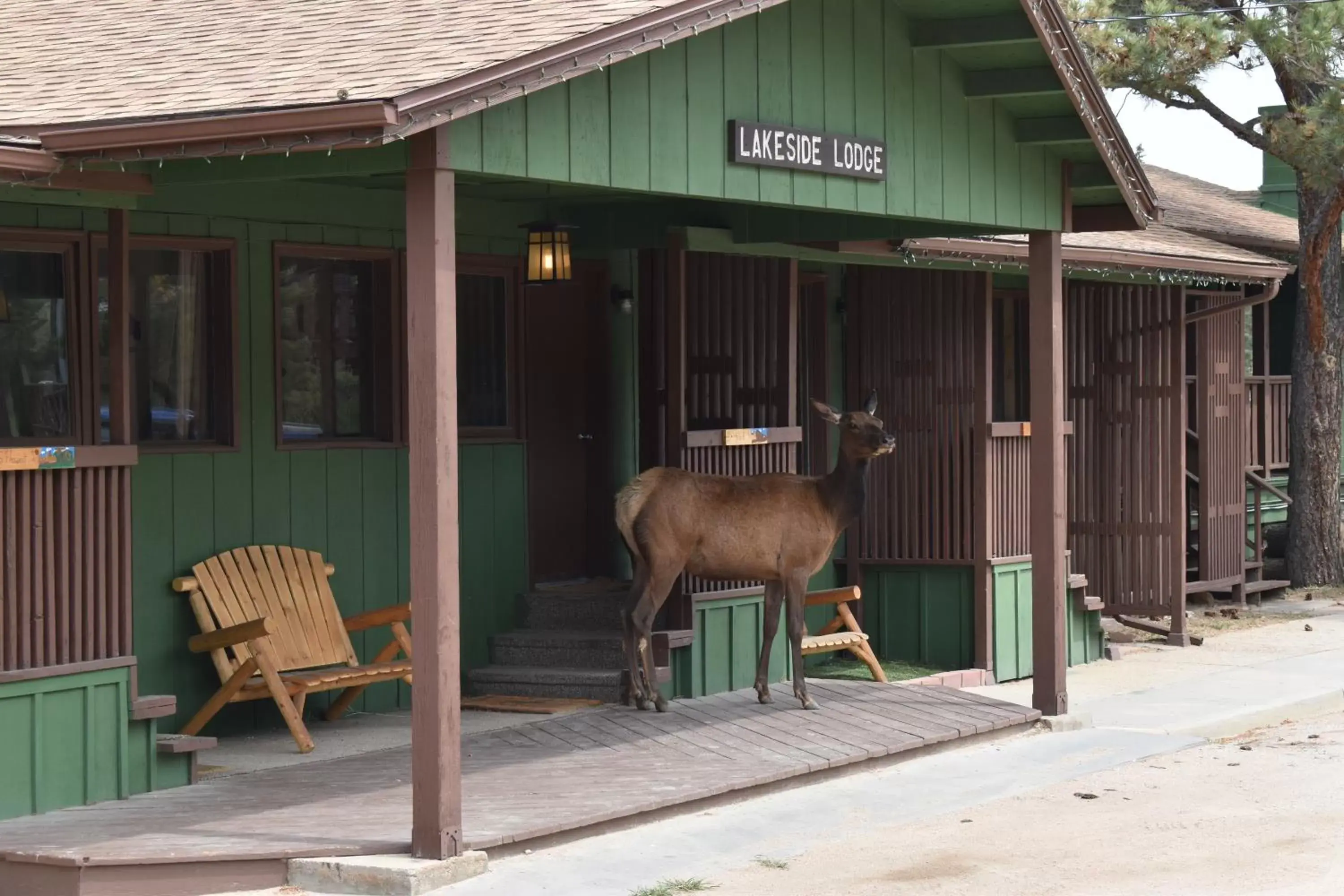 Estes Lake Lodge