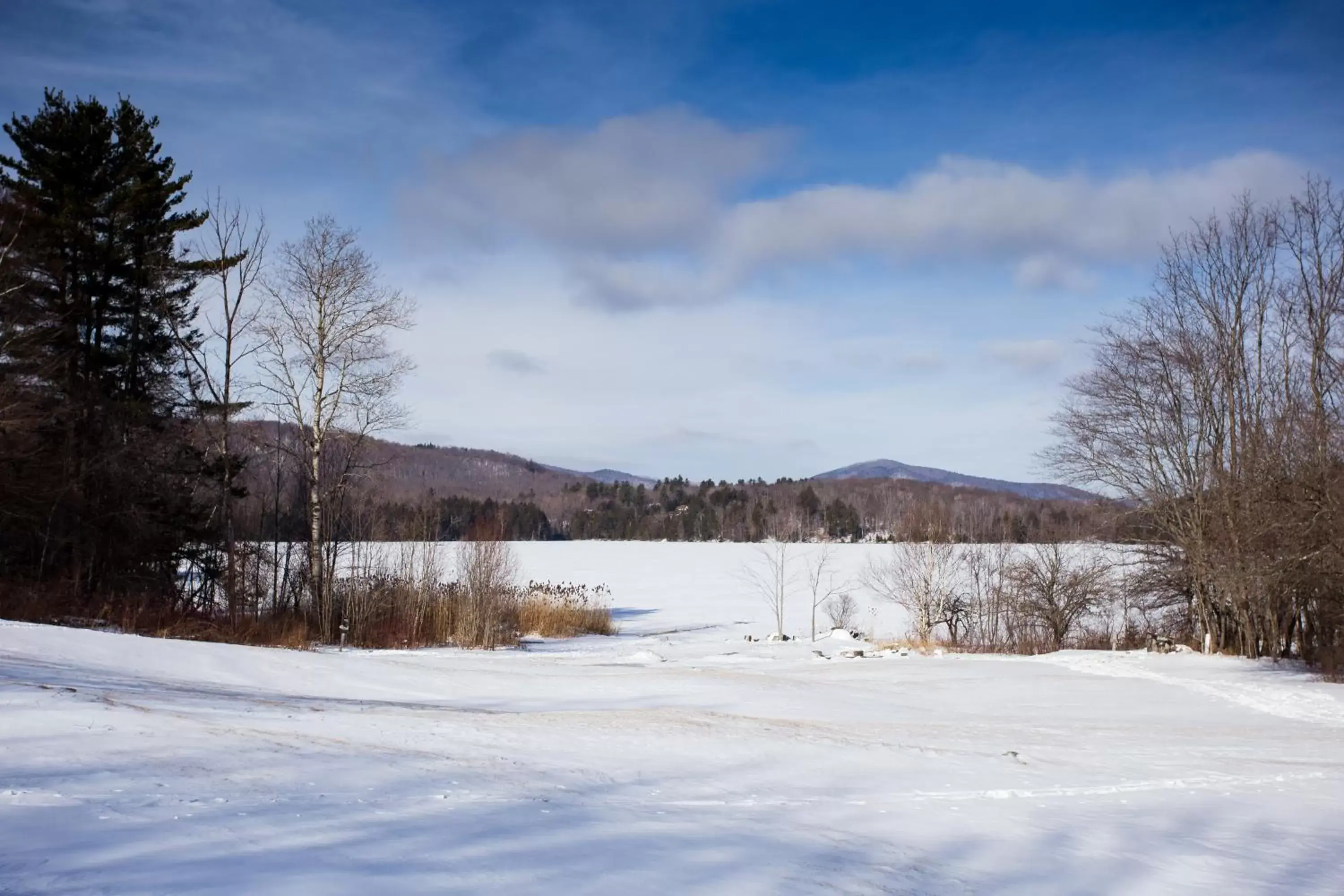 Natural landscape, Winter in Mountain Meadows Lodge