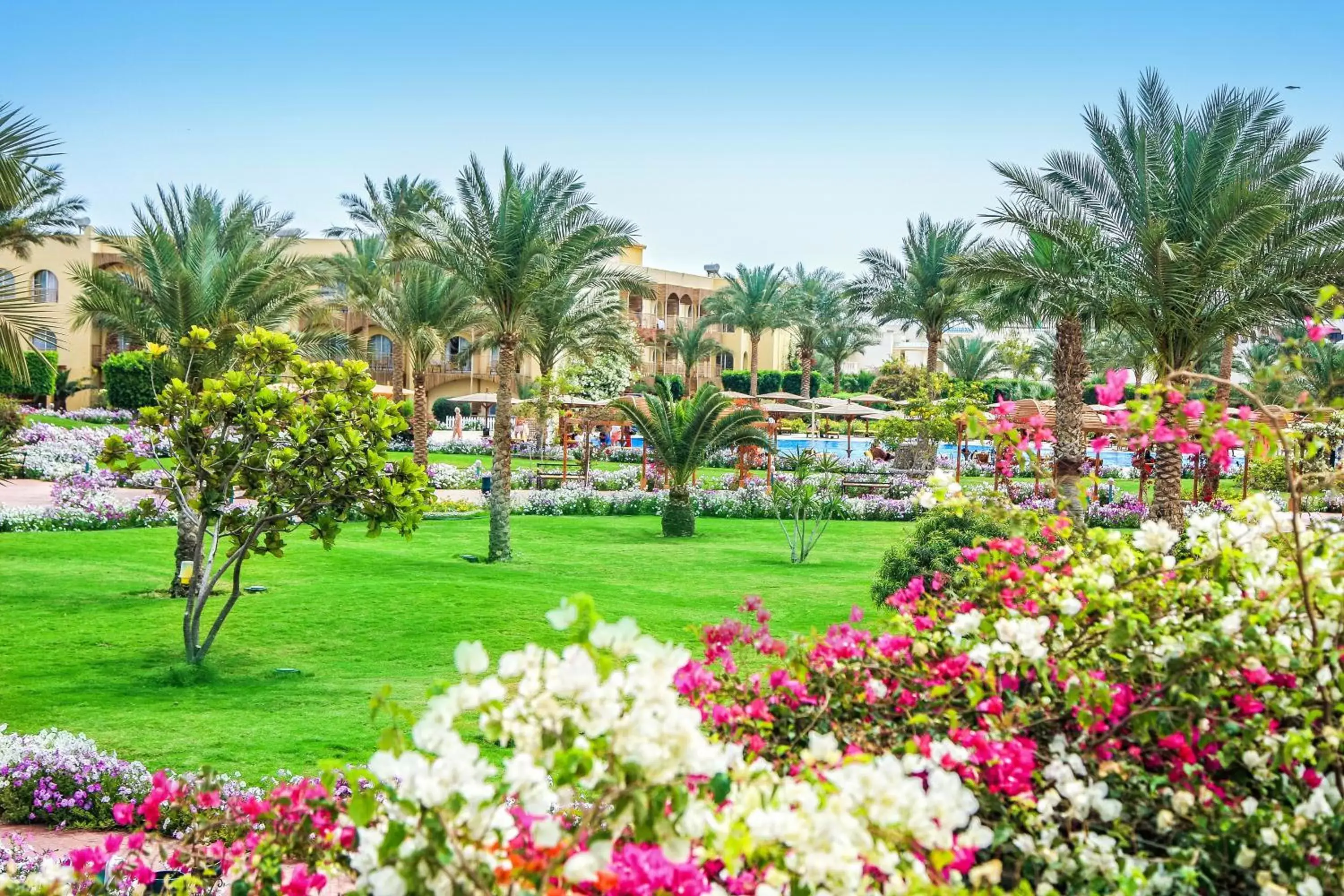 Garden in Desert Rose Resort