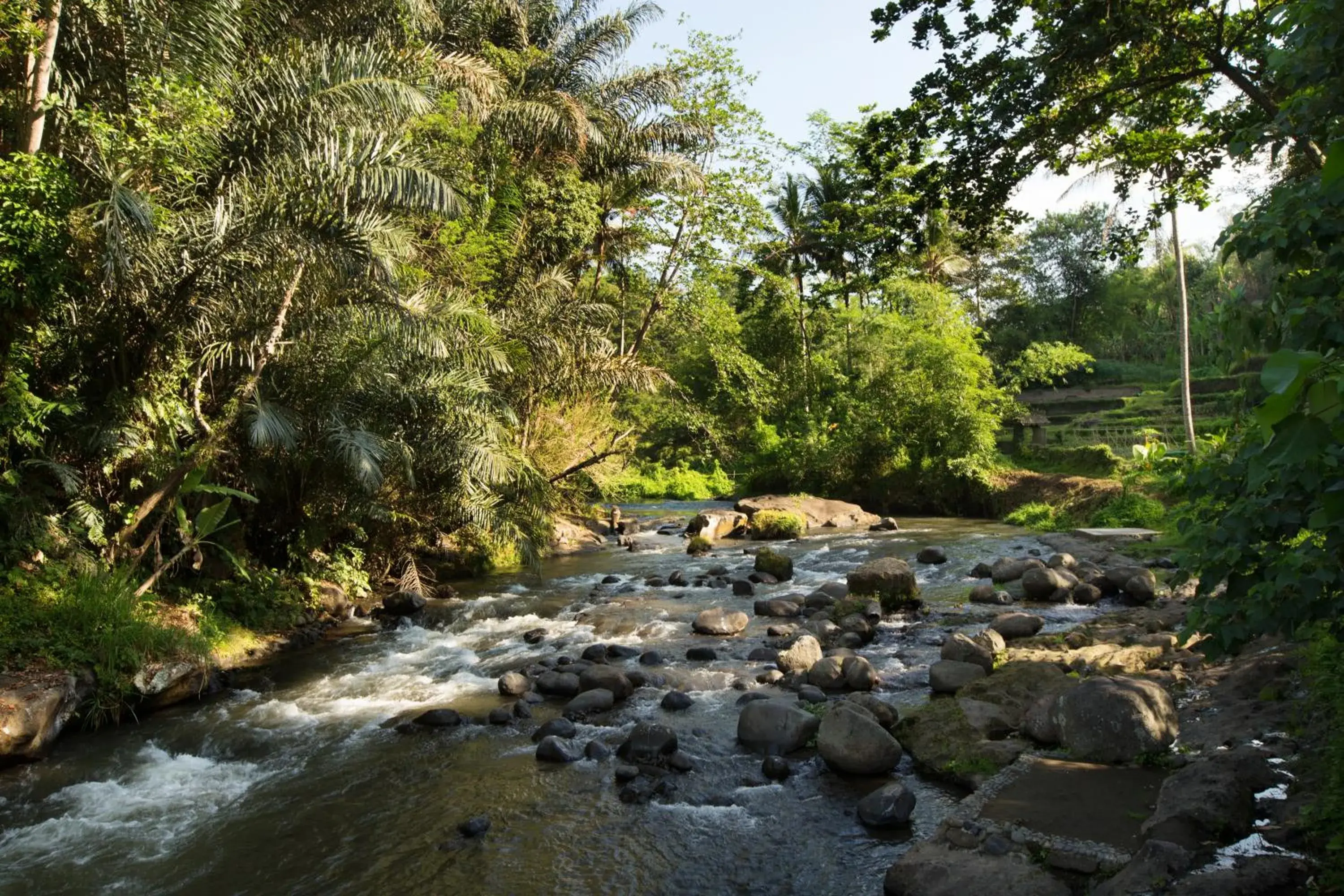 Restaurant/places to eat, Garden in The Samaya Ubud Villas