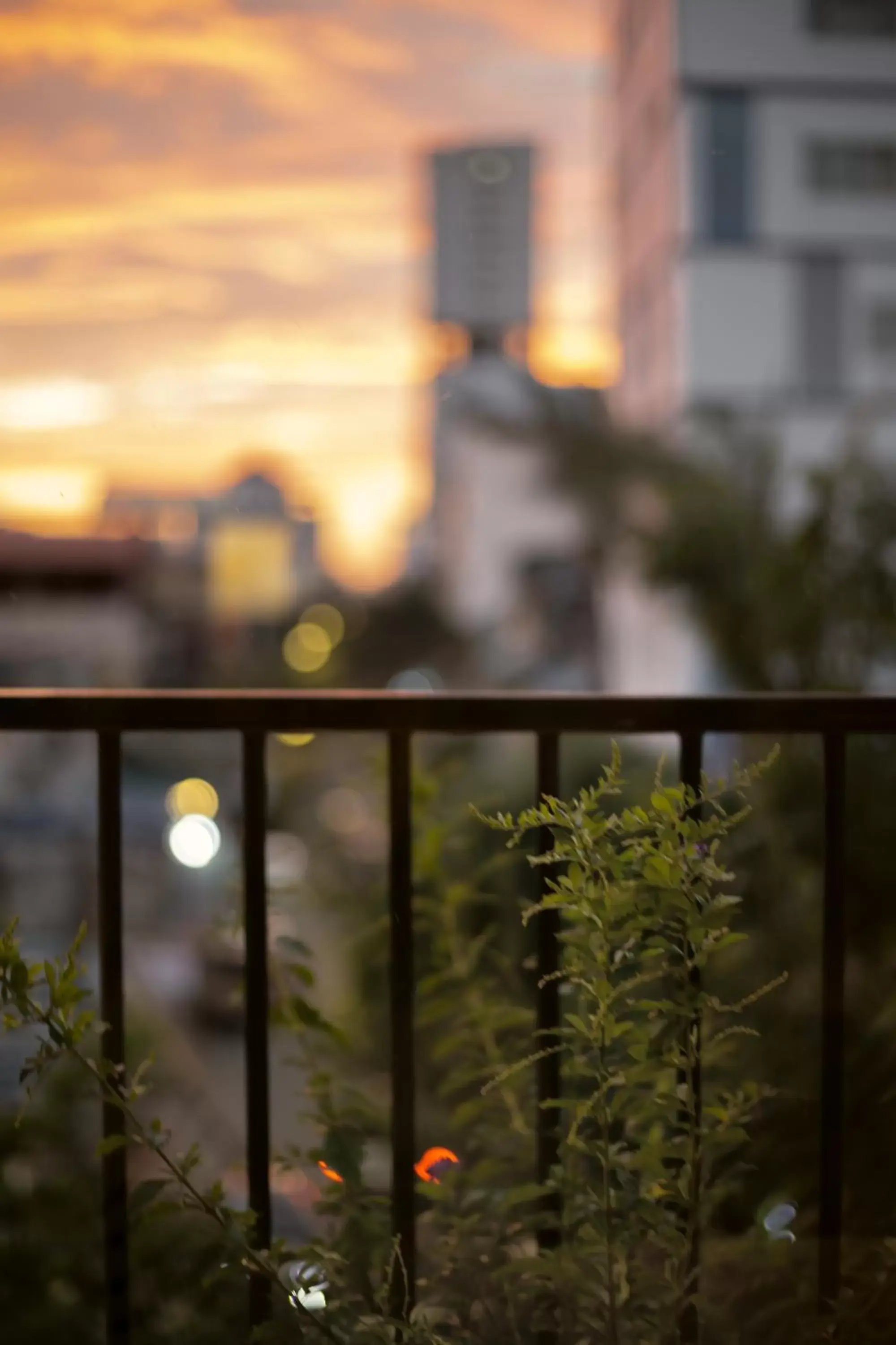 City view in La Chronique Hotel City view in La Chronique Hotel