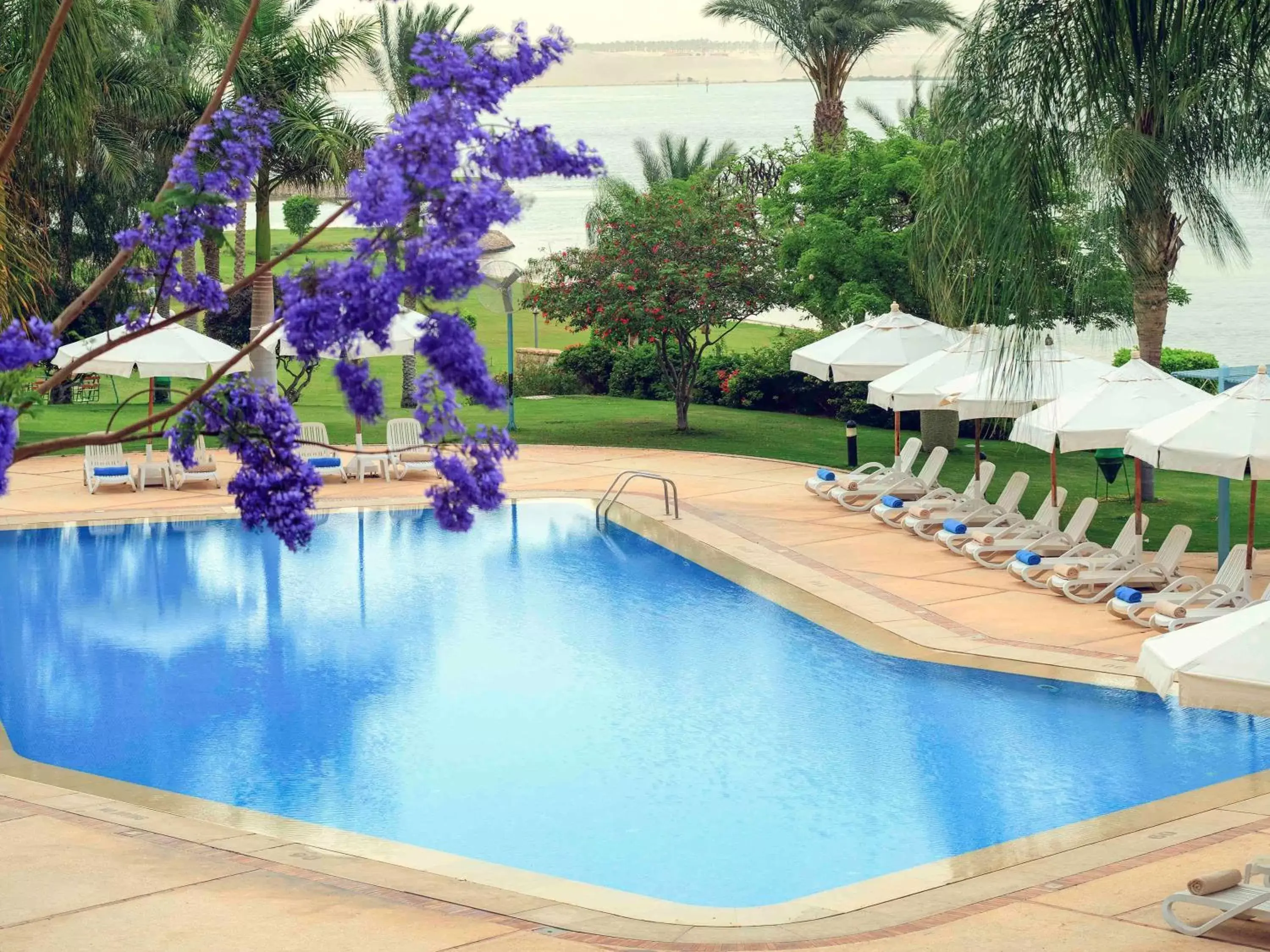 Other, Swimming Pool in Mercure Ismailia Forsan Island