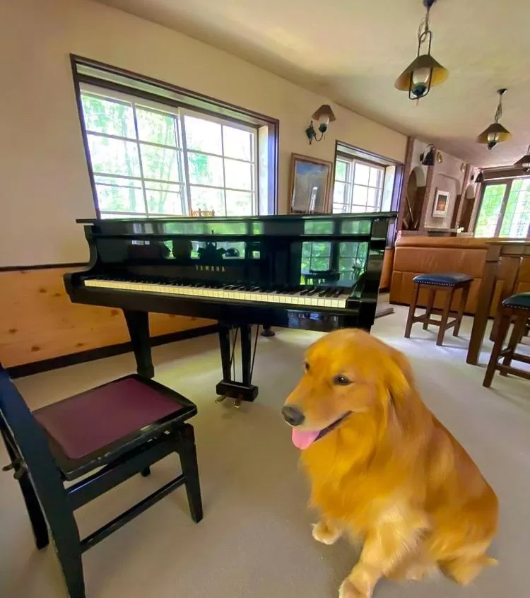 Pets in Panketo Lodge & Yoga Studio