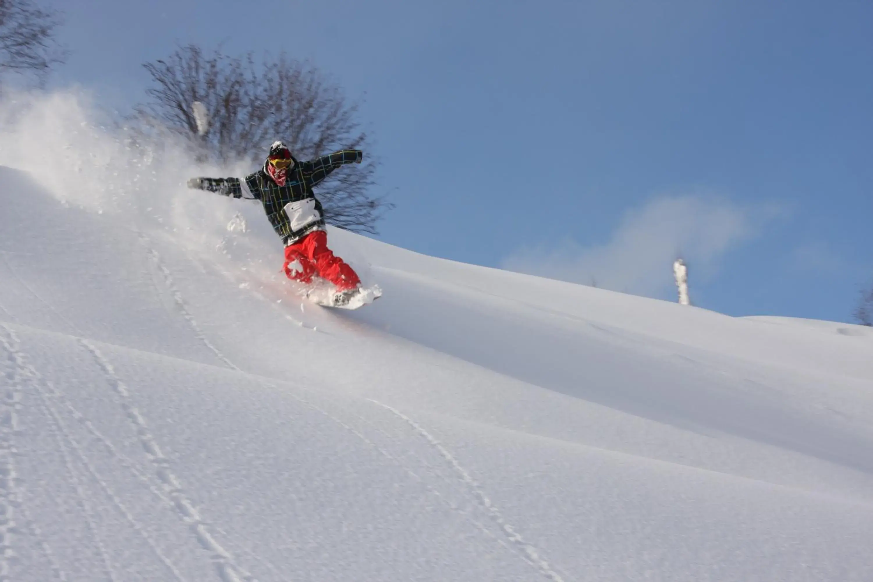 Skiing, Winter in Hotel Tangram