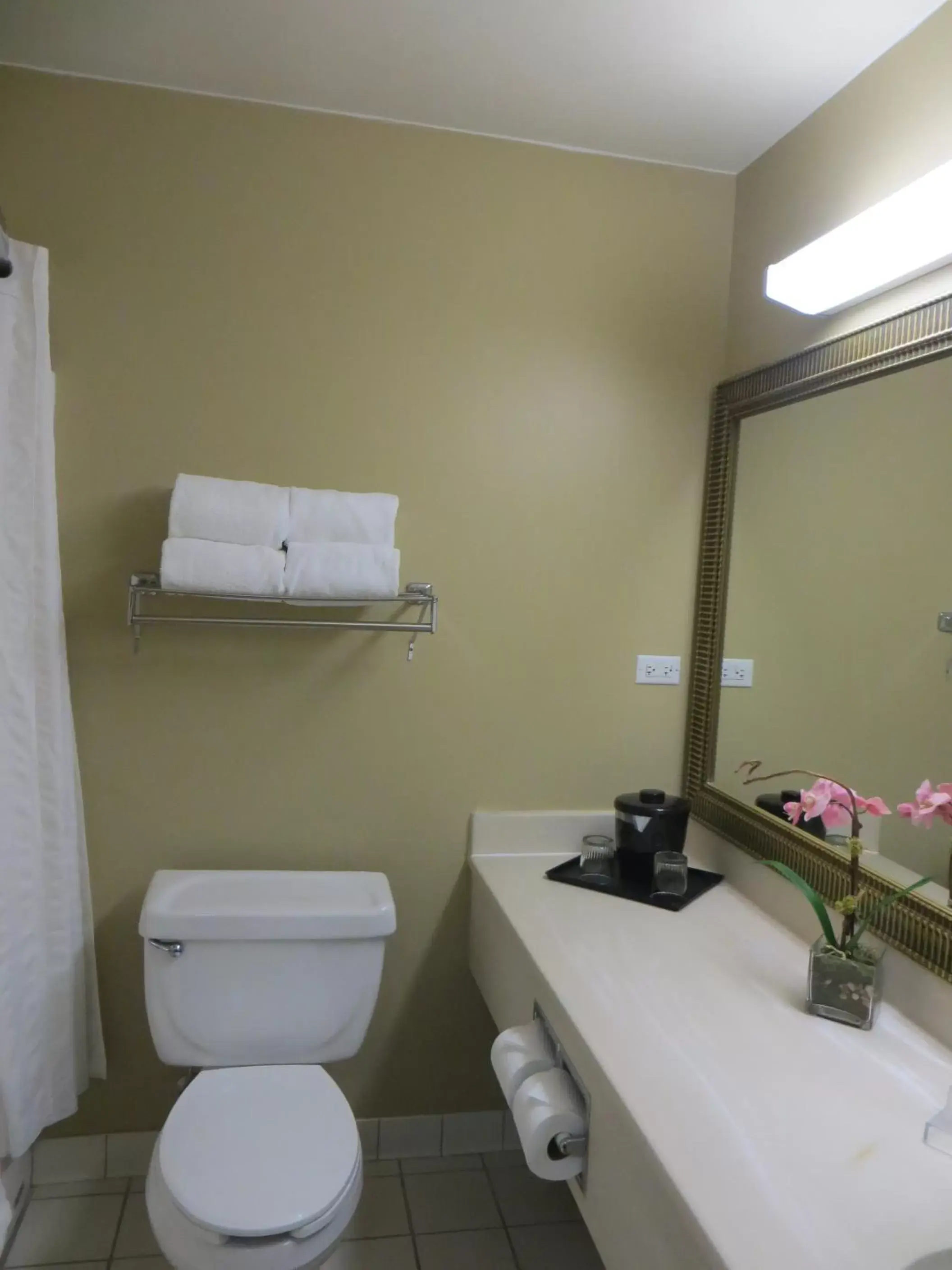Bathroom in Country Inn & Suites by Radisson, Gurnee, IL