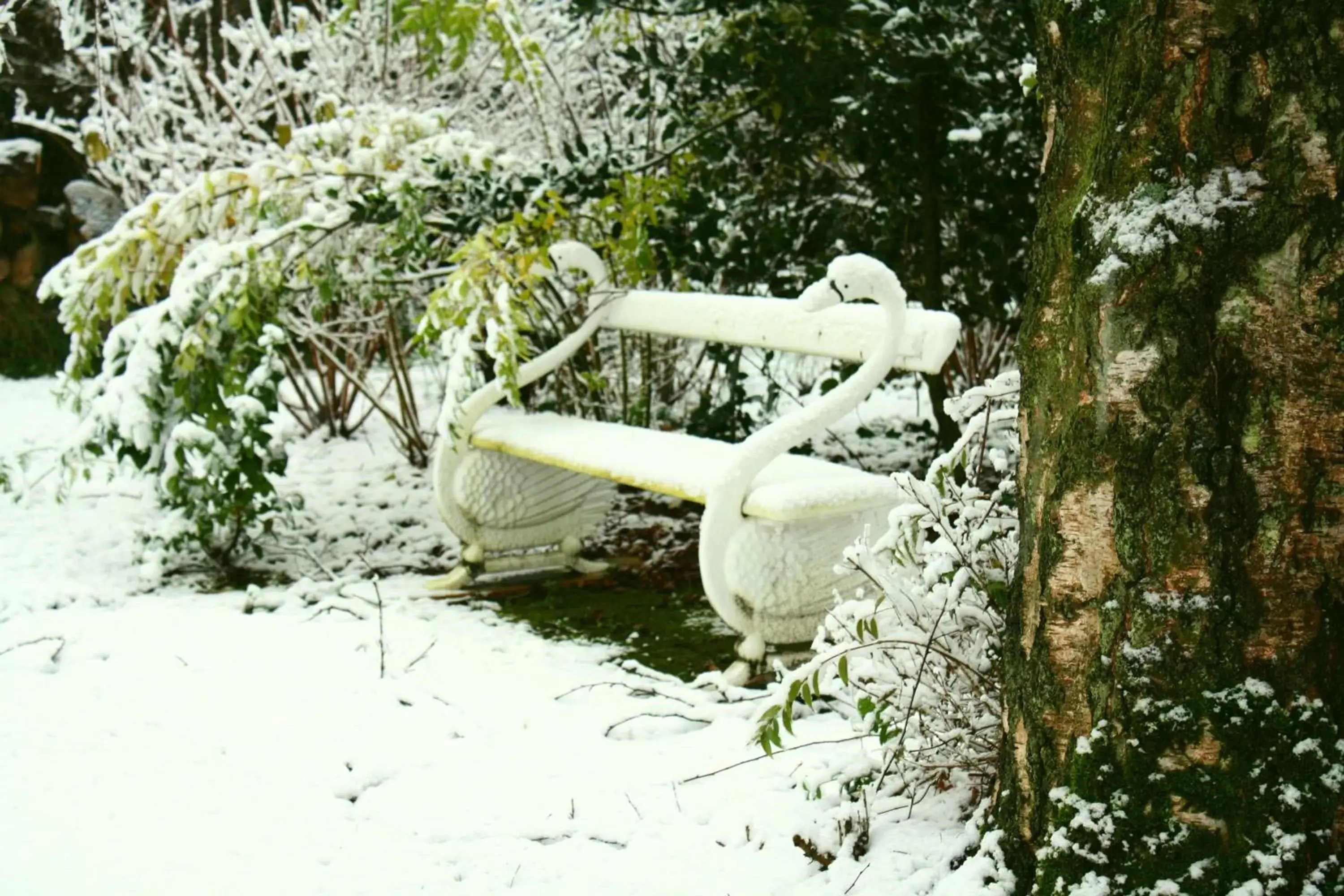 Patio in Logement Swaenenvecht