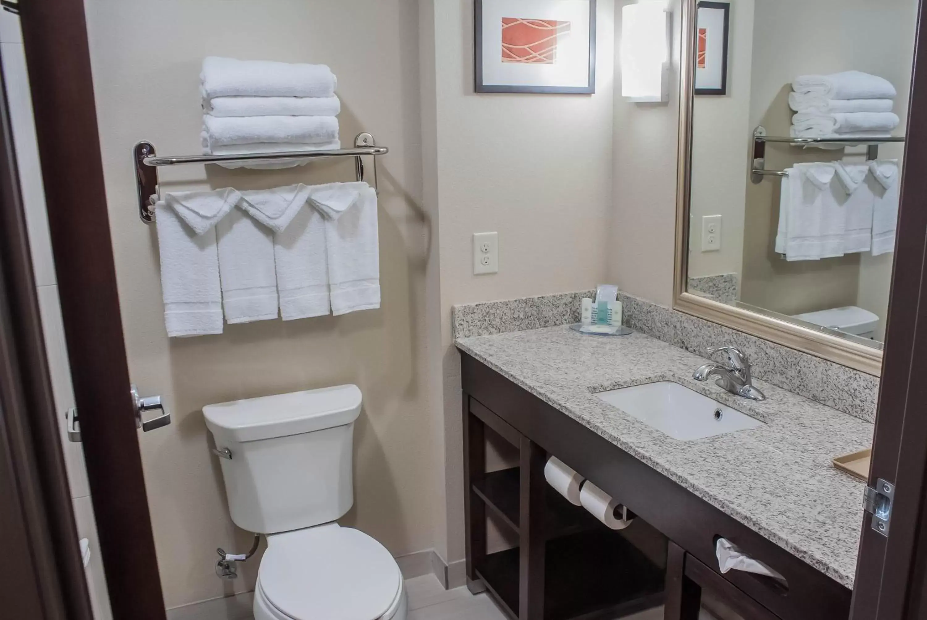 Bathroom in Comfort Inn & Suites Artesia