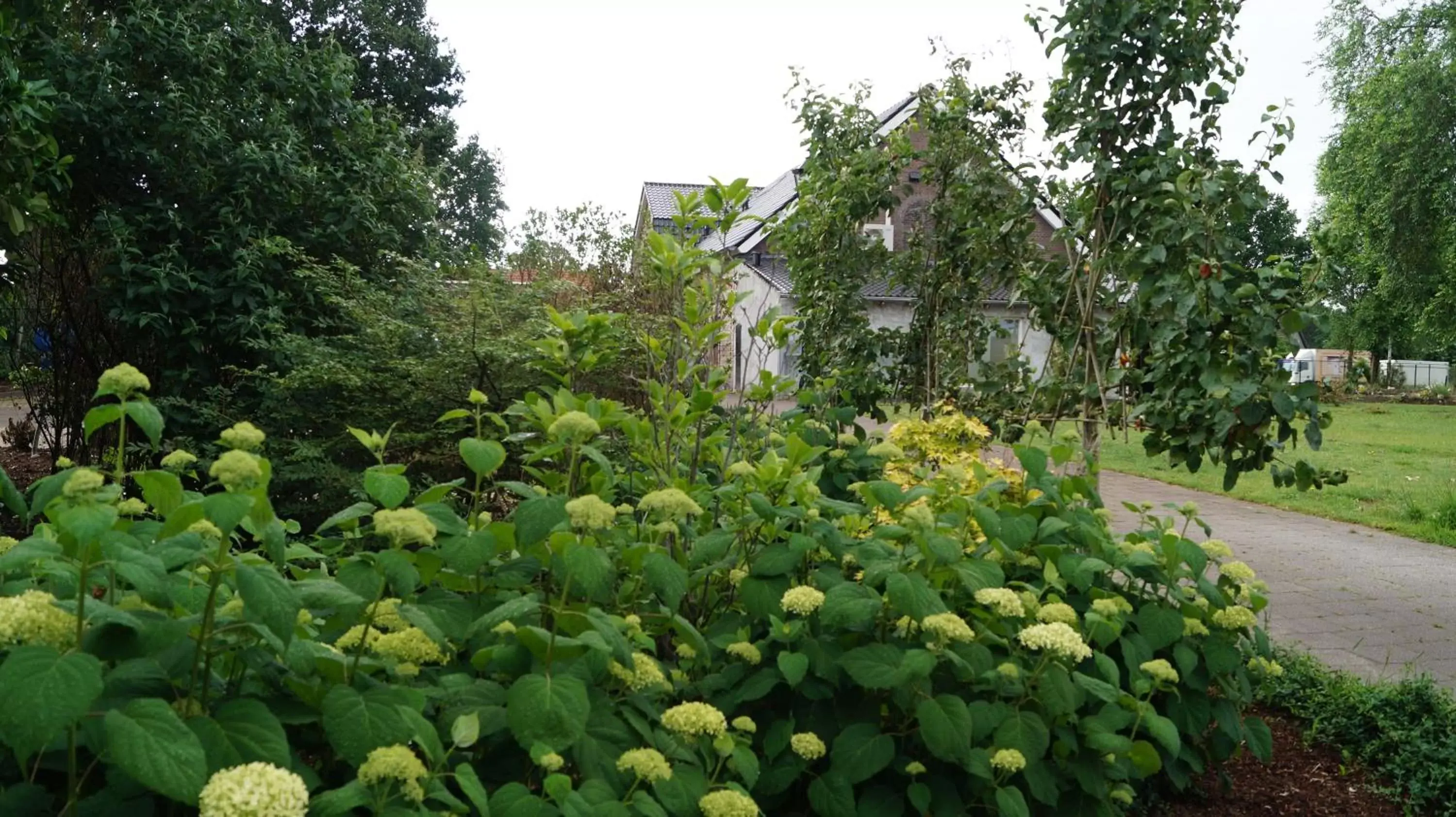 Natural landscape, Garden in B&B Johannes-Hoeve