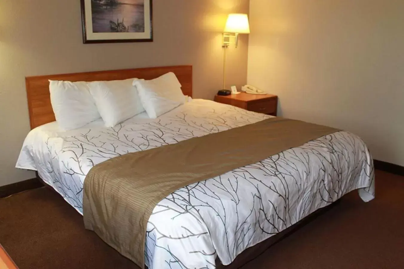 Bed in Edmore Inn